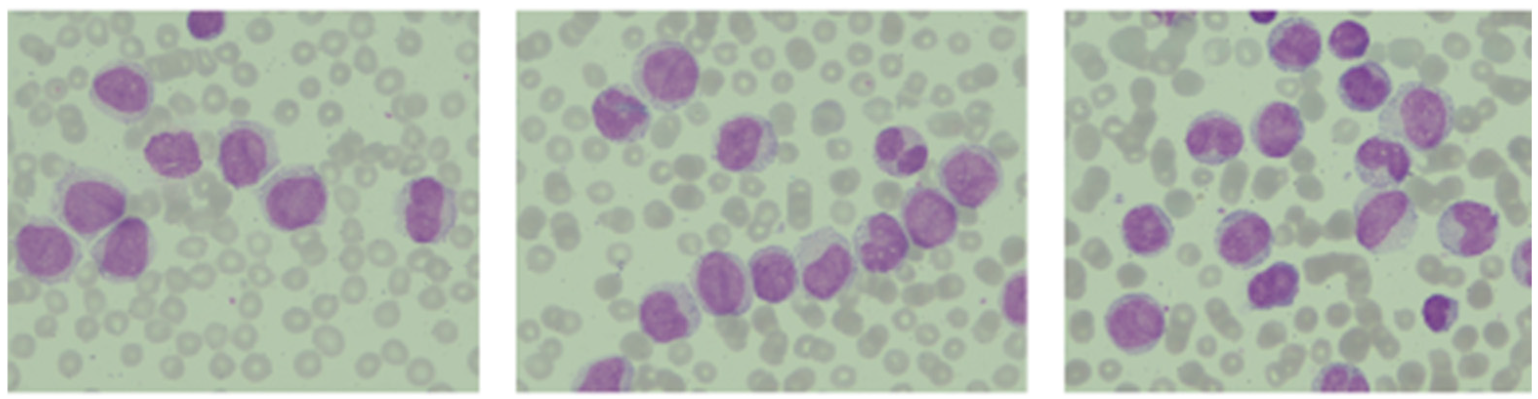 Ijms 26 09269 g005 Ijms 26 09269 g005