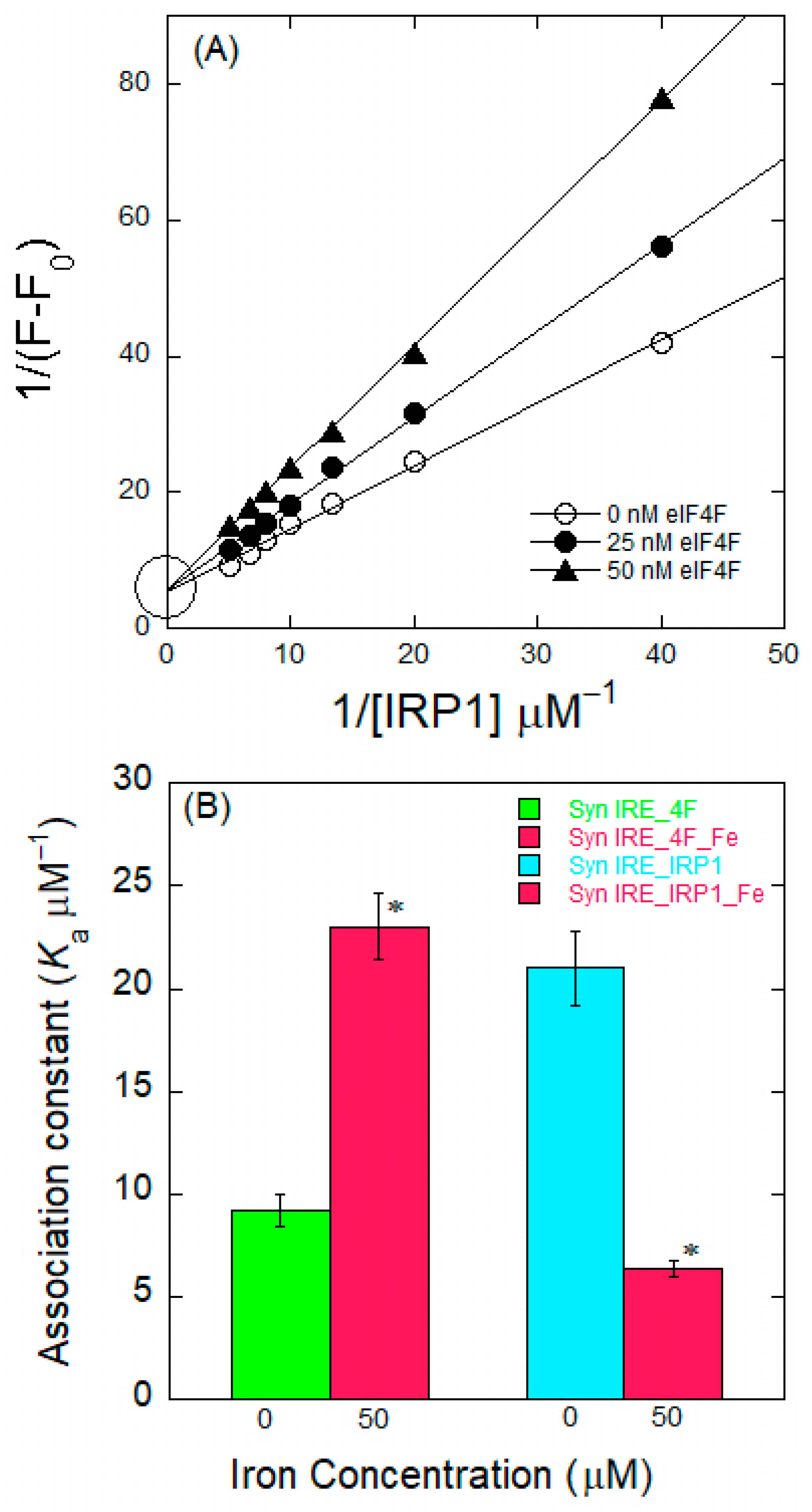 Ijms 26 09320 g006 Ijms 26 09320 g006