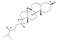 Ijms 26 09341 i017 Ijms 26 09341 i017