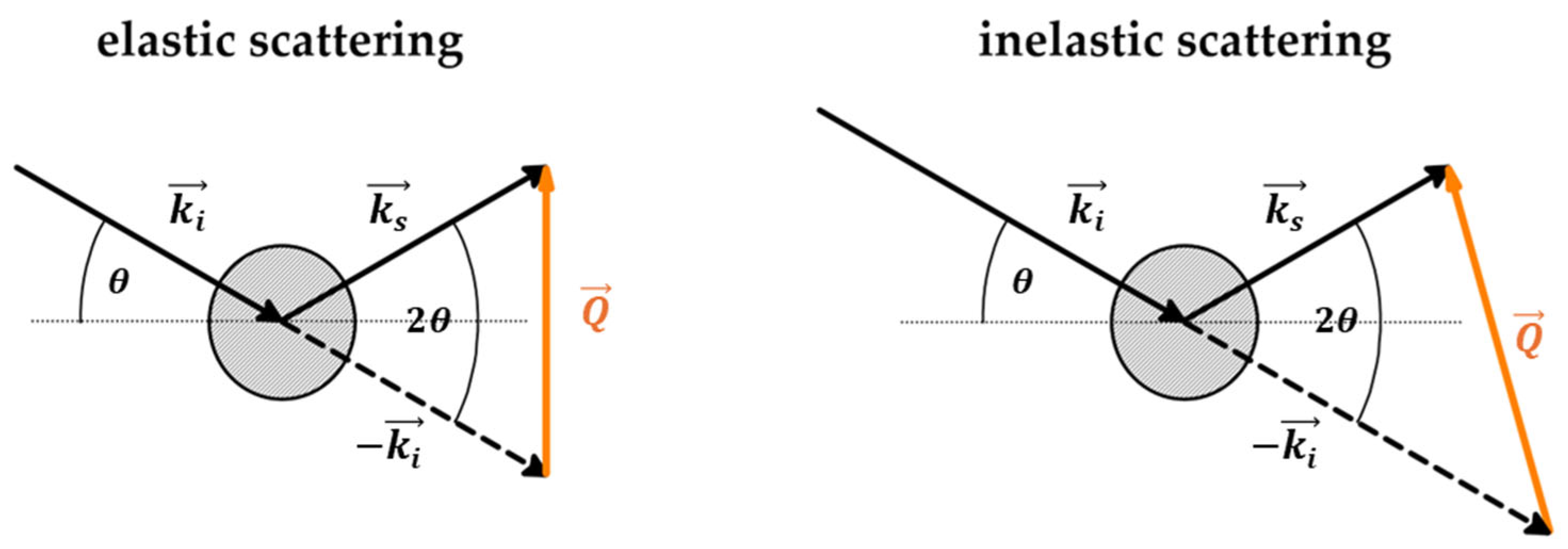 Ijms 26 09342 g006 Ijms 26 09342 g006