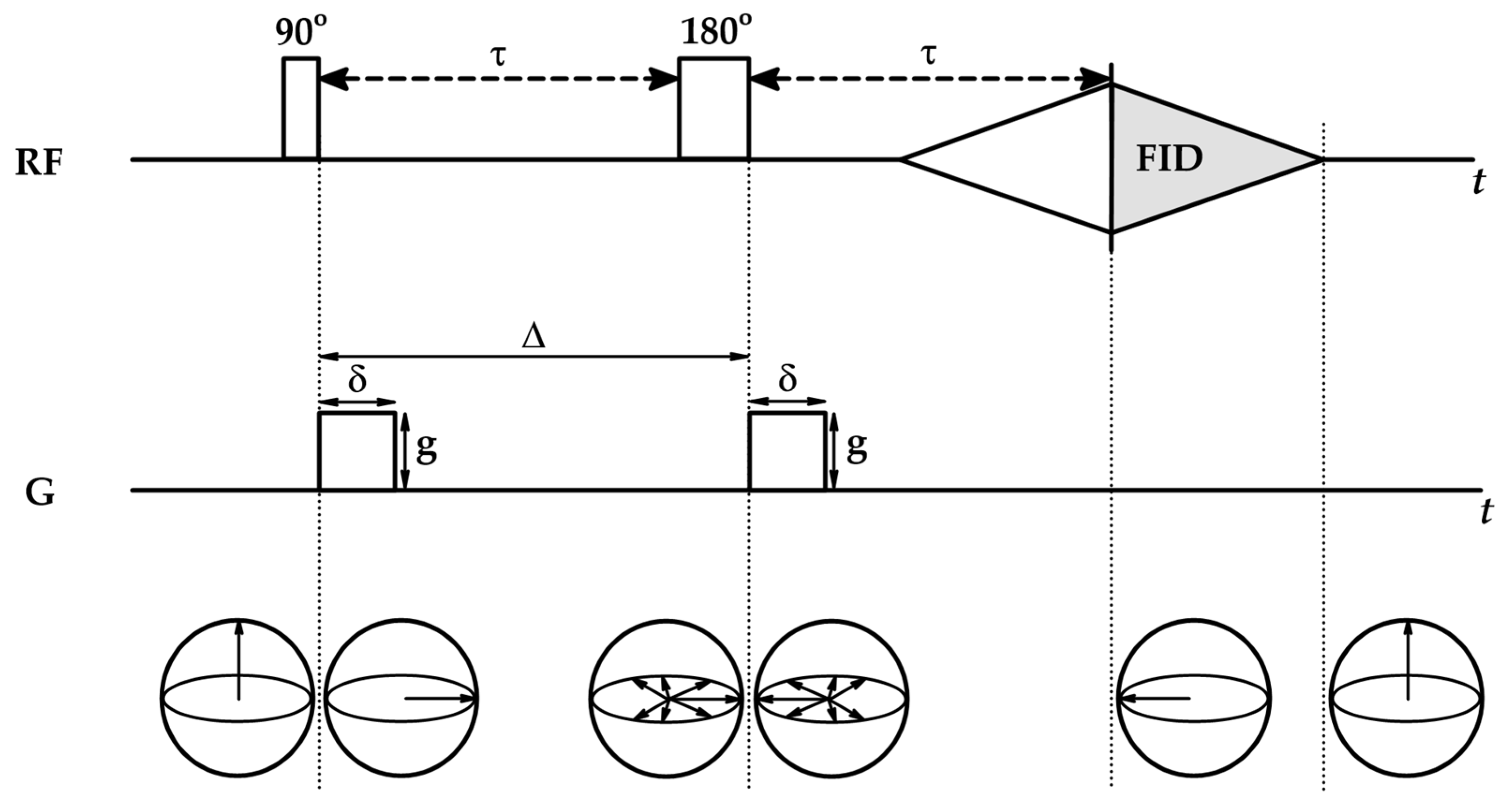 Ijms 26 09342 g009 Ijms 26 09342 g009