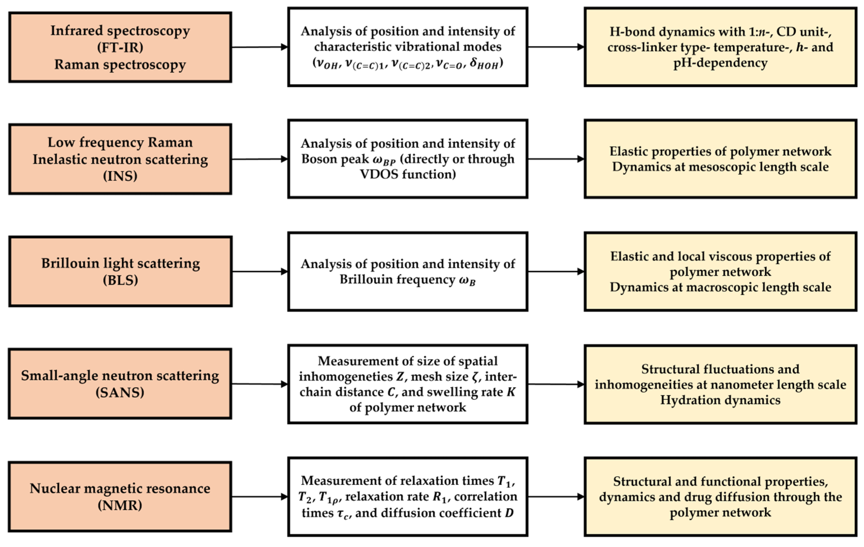 Ijms 26 09342 g012 Ijms 26 09342 g012