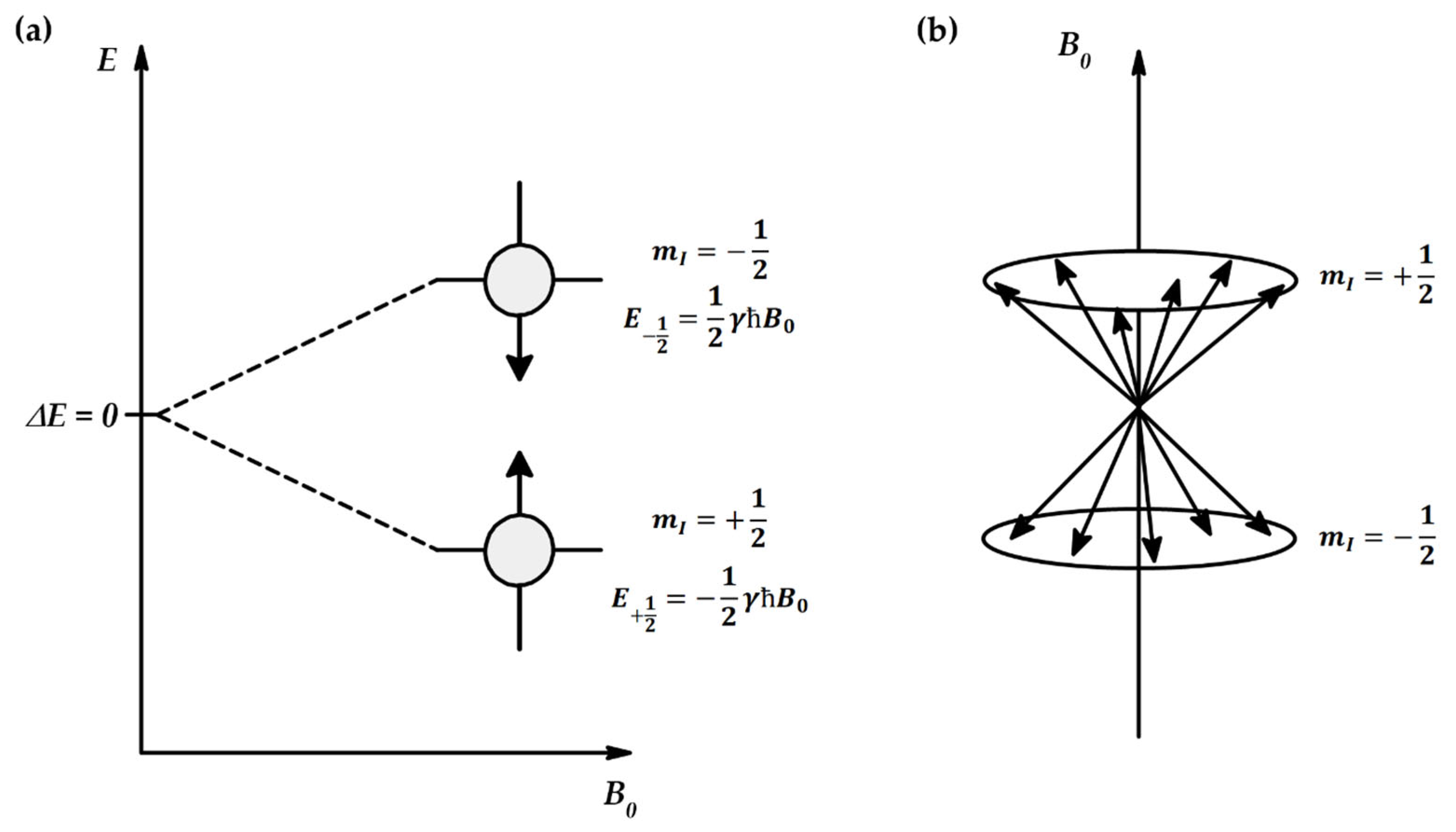 Ijms 26 09342 g0a3 Ijms 26 09342 g0a3
