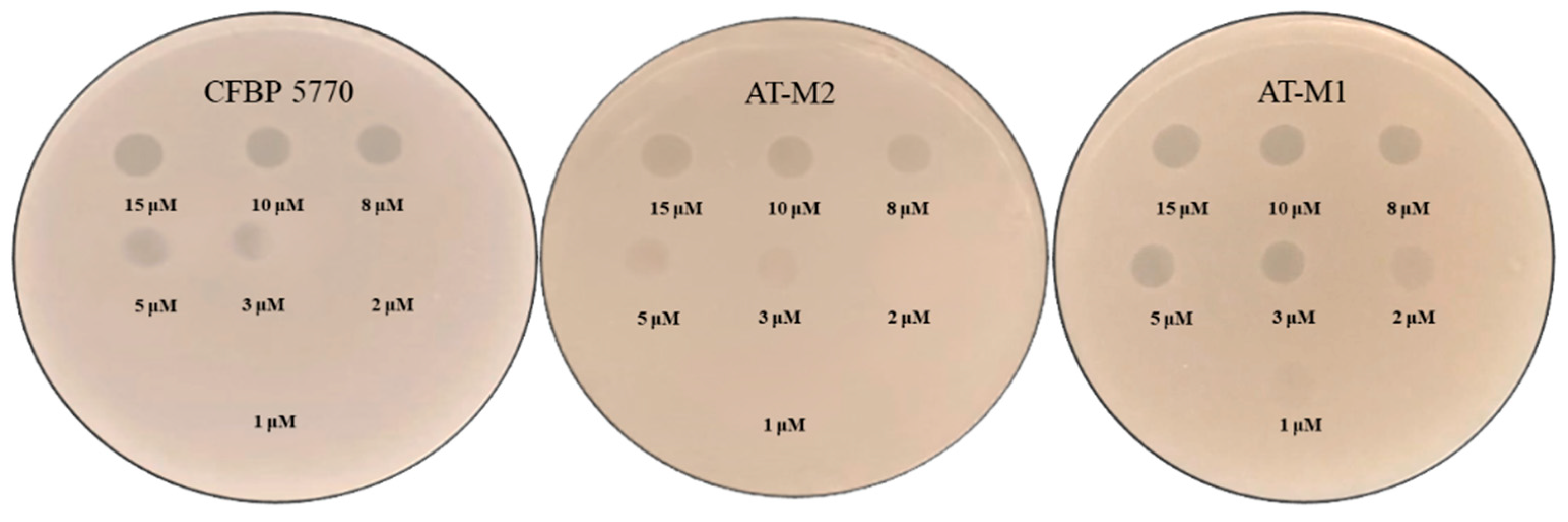 Ijms 26 09355 g005