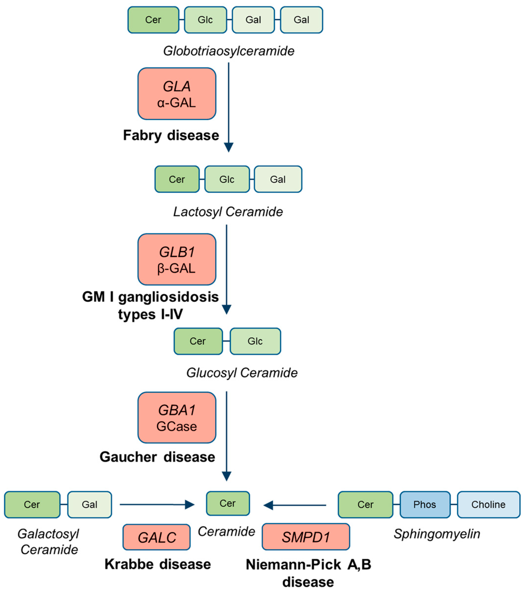 Ijms 26 09454 g001 Ijms 26 09454 g001