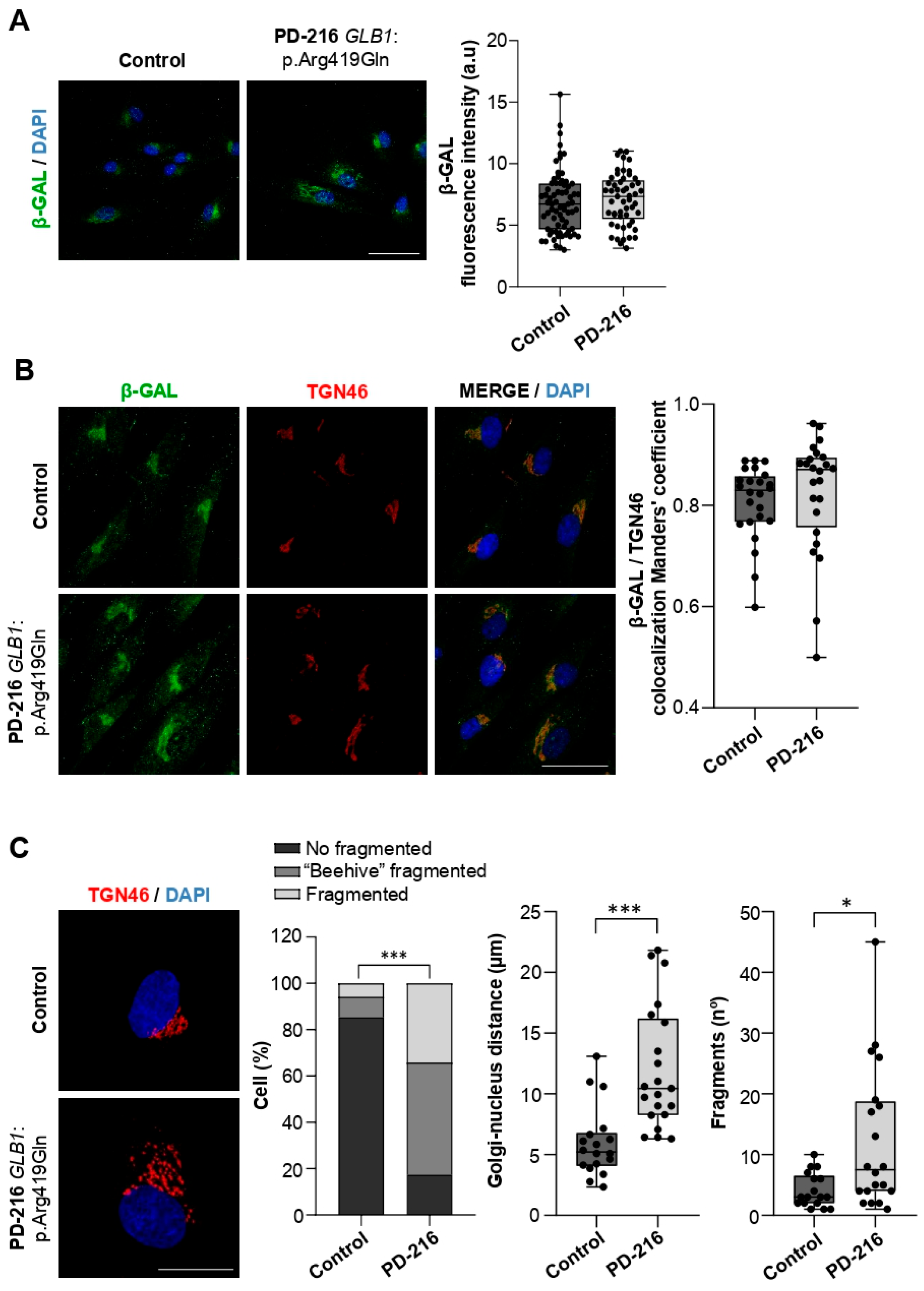 Ijms 26 09454 g004 Ijms 26 09454 g004