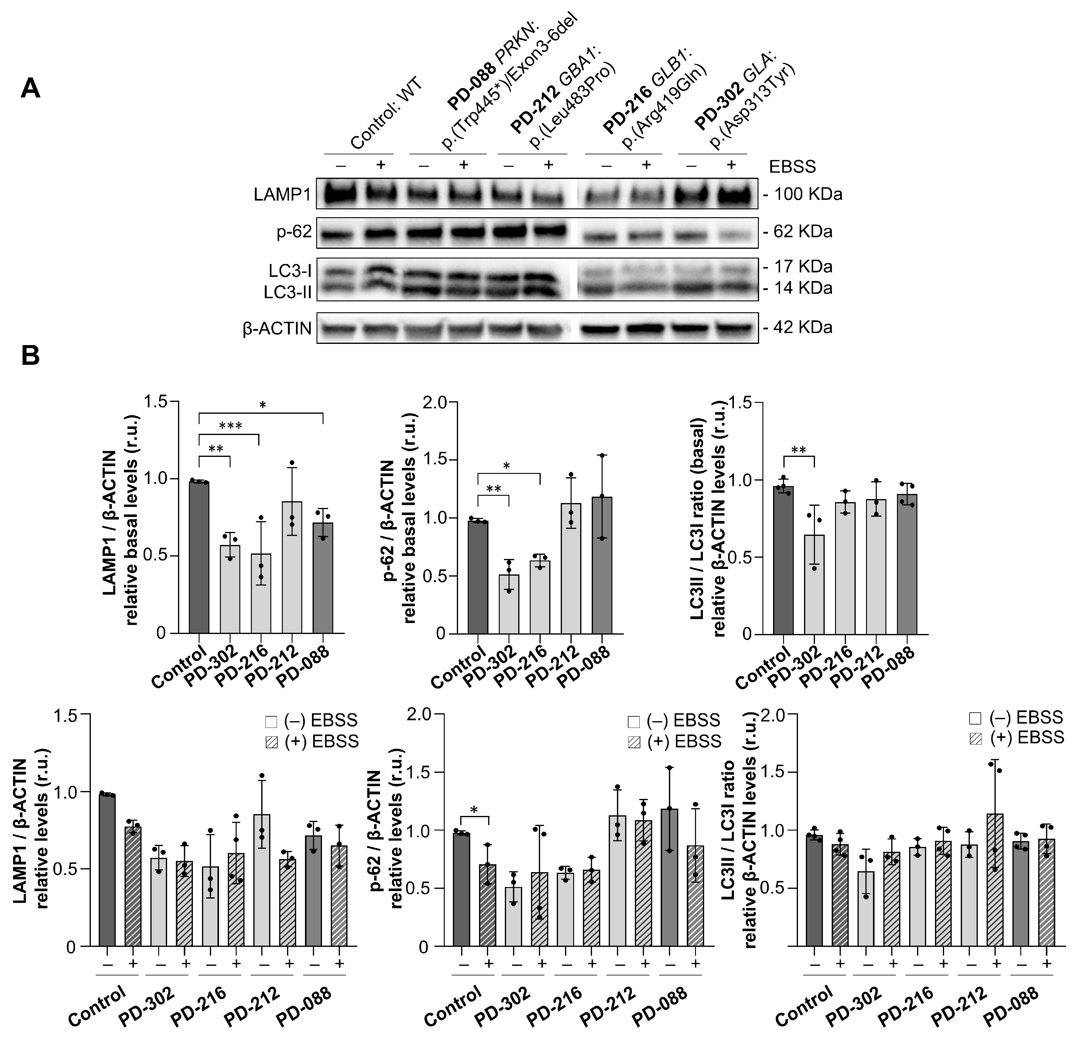 Ijms 26 09454 g006 Ijms 26 09454 g006