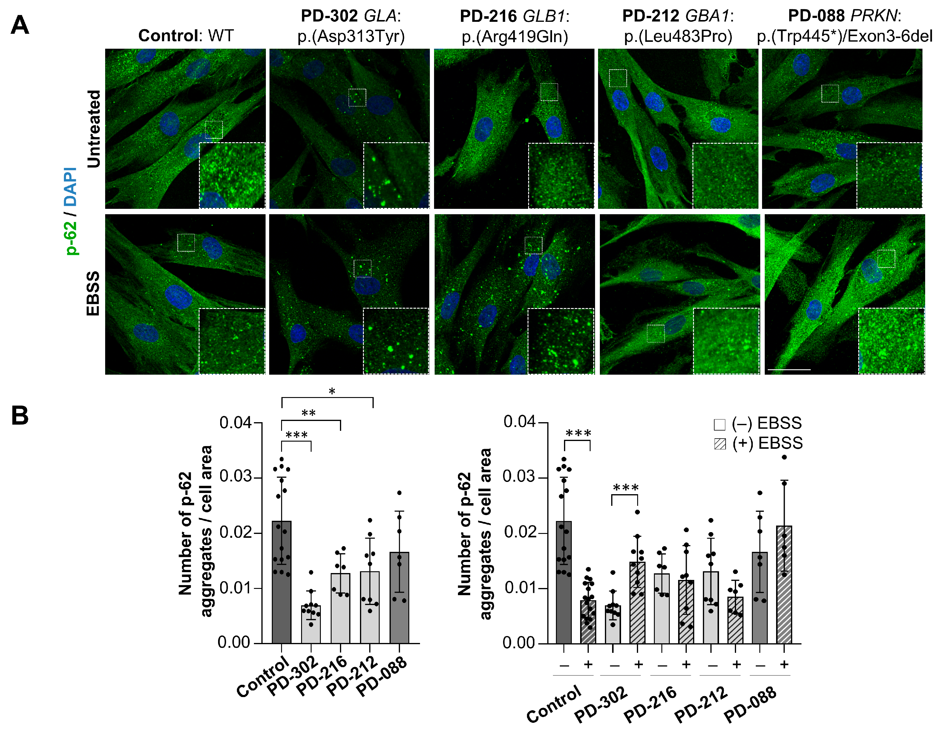 Ijms 26 09454 g007 Ijms 26 09454 g007