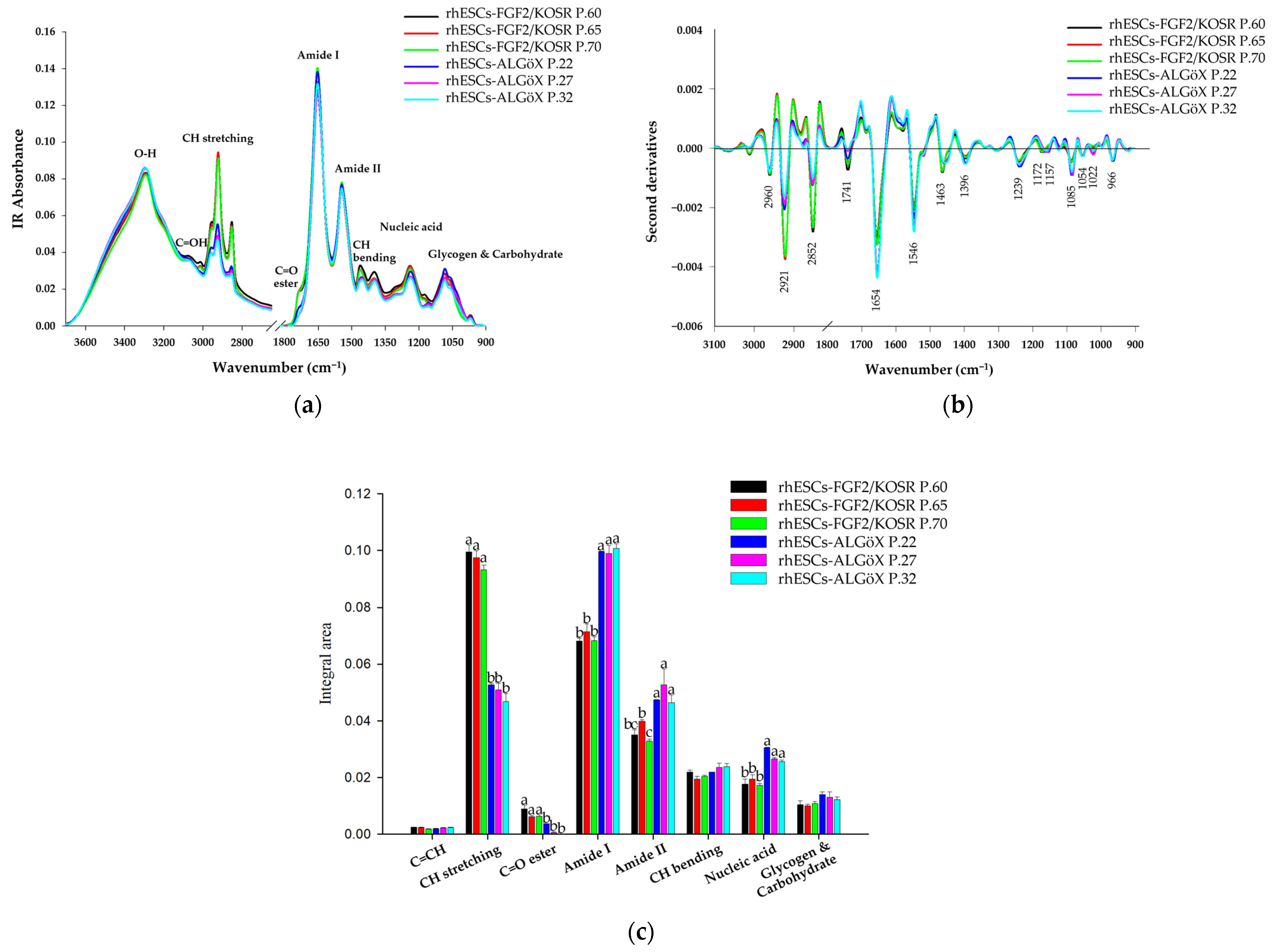 Ijms 26 09514 g003 Ijms 26 09514 g003