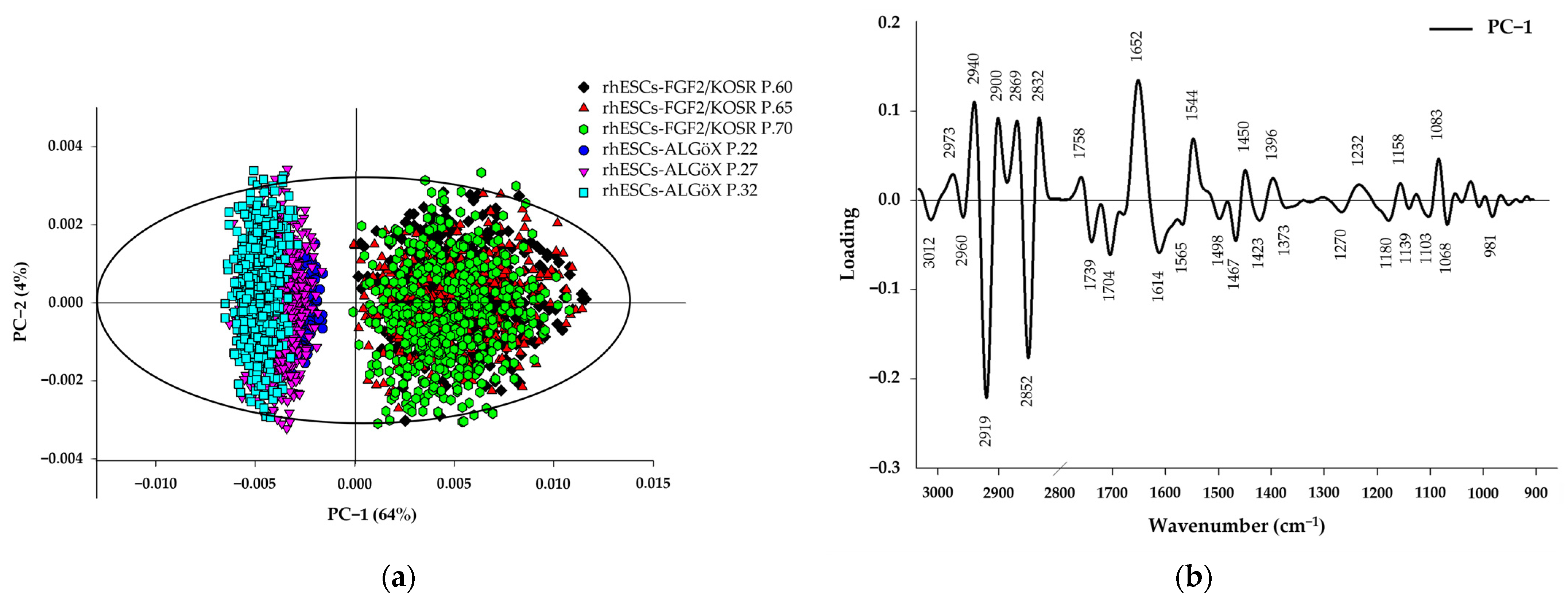 Ijms 26 09514 g004 Ijms 26 09514 g004