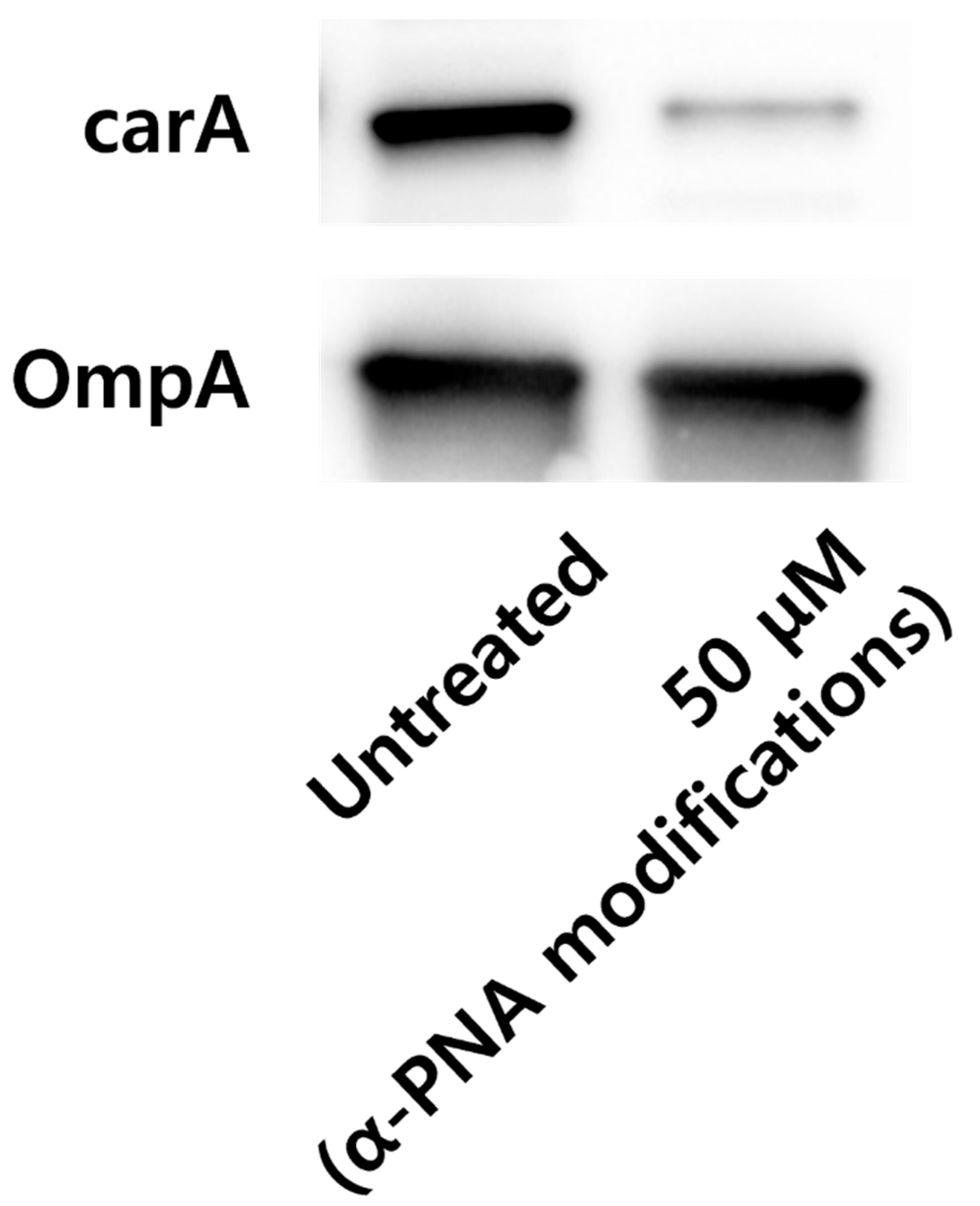 Ijms 26 09526 g002
