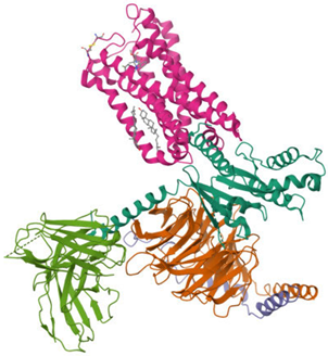 Ijms 26 09549 i001 Ijms 26 09549 i001