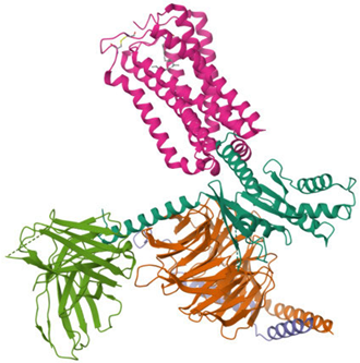 Ijms 26 09549 i002 Ijms 26 09549 i002