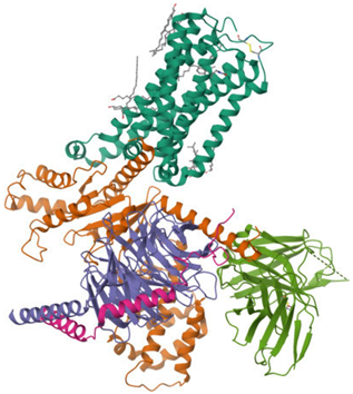 Ijms 26 09549 i004 Ijms 26 09549 i004