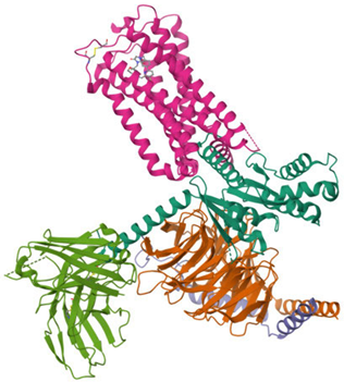 Ijms 26 09549 i005 Ijms 26 09549 i005