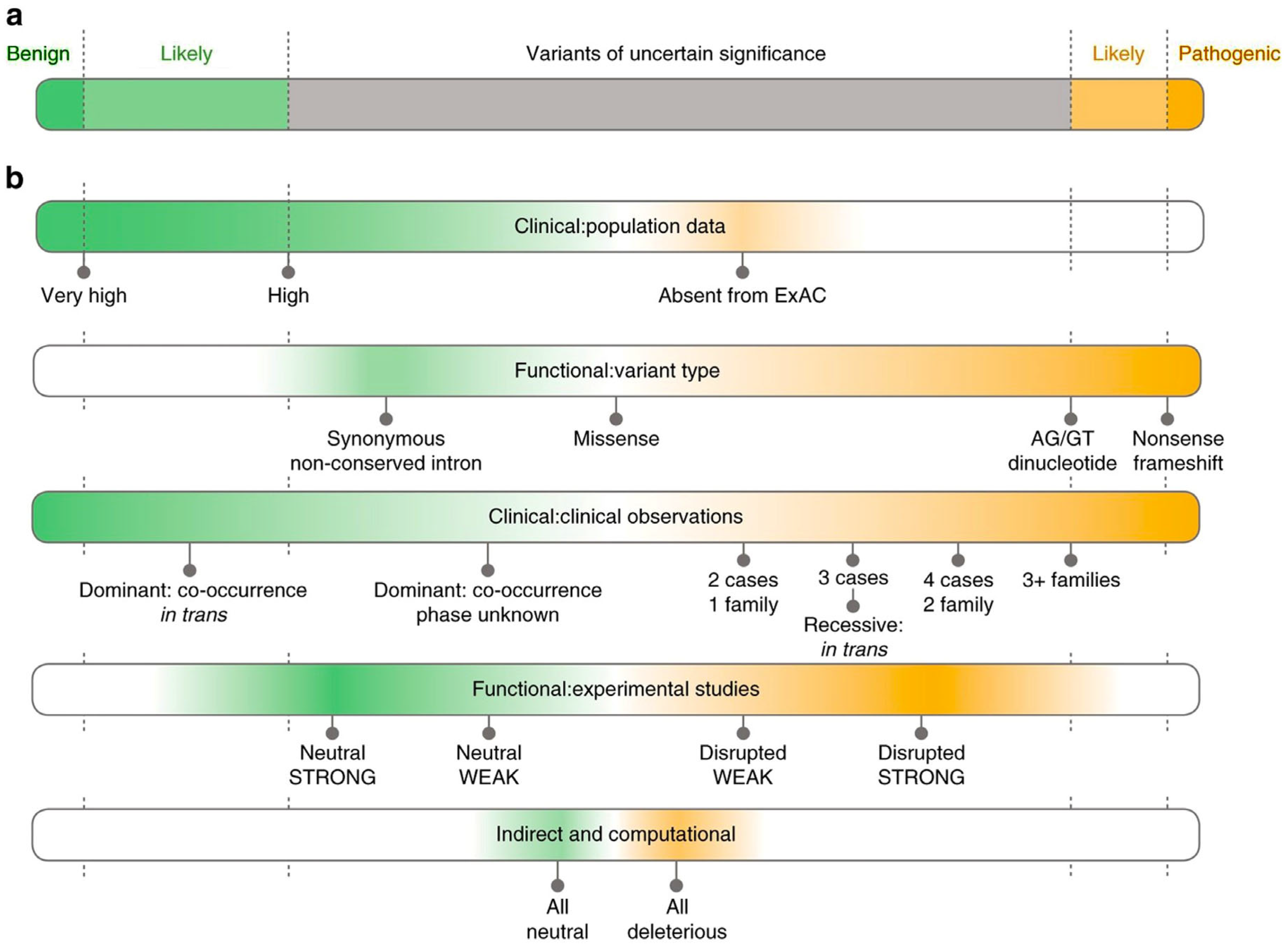 NGS Approaches in Clinical Diagnostics: From Workflow to Disease ...