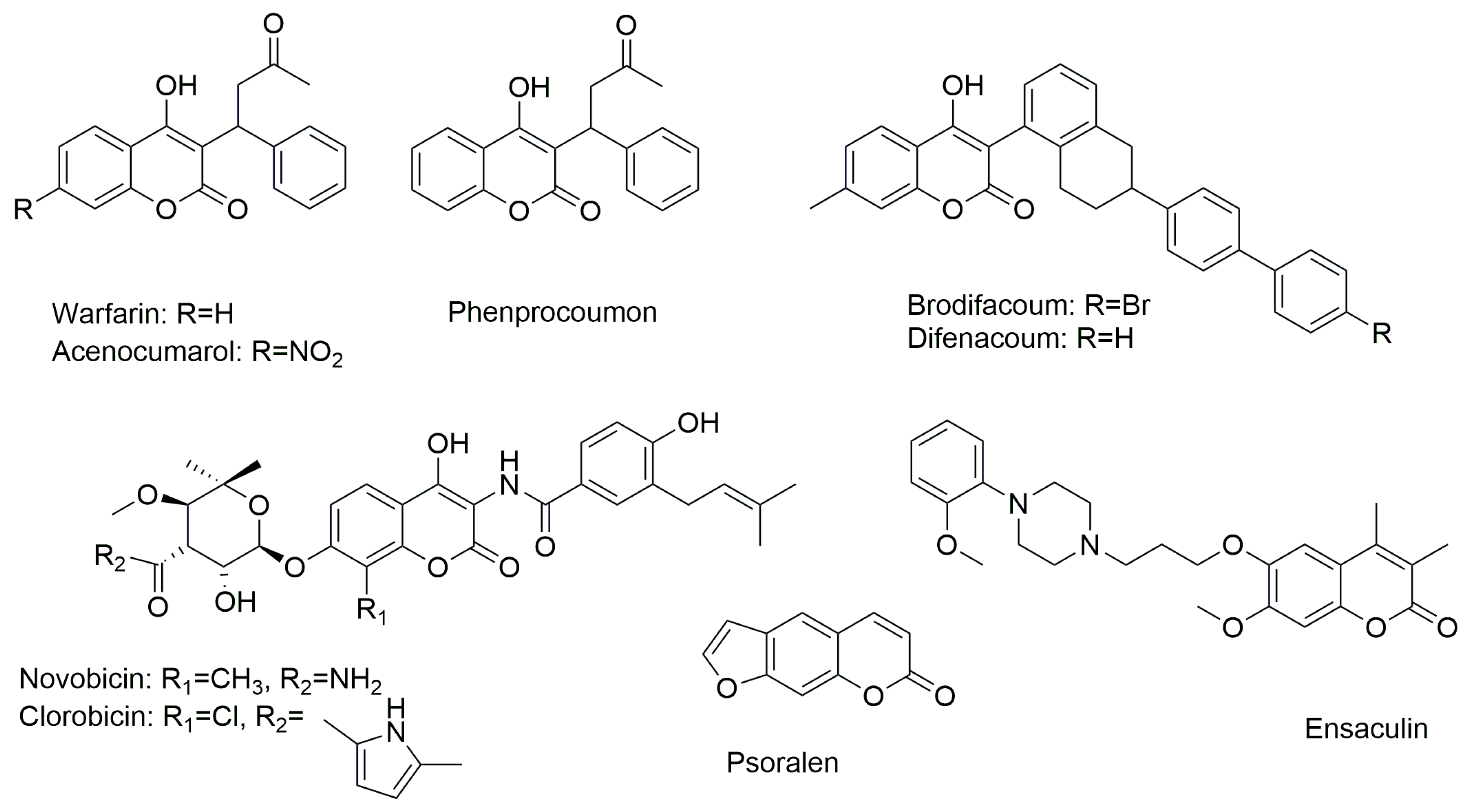 Ijms 26 09667 g001 Ijms 26 09667 g001