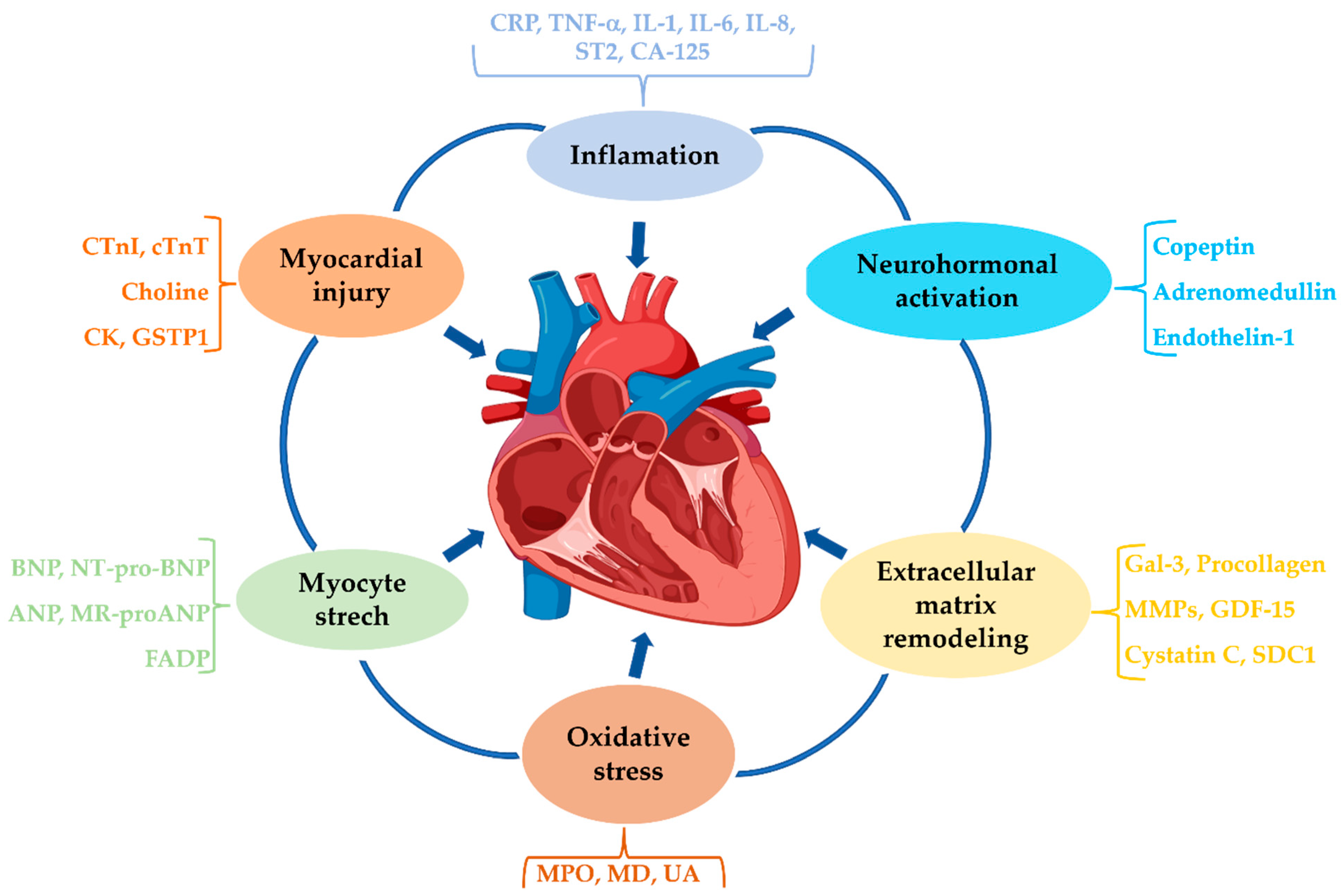 Ijms 26 09740 g002 Ijms 26 09740 g002