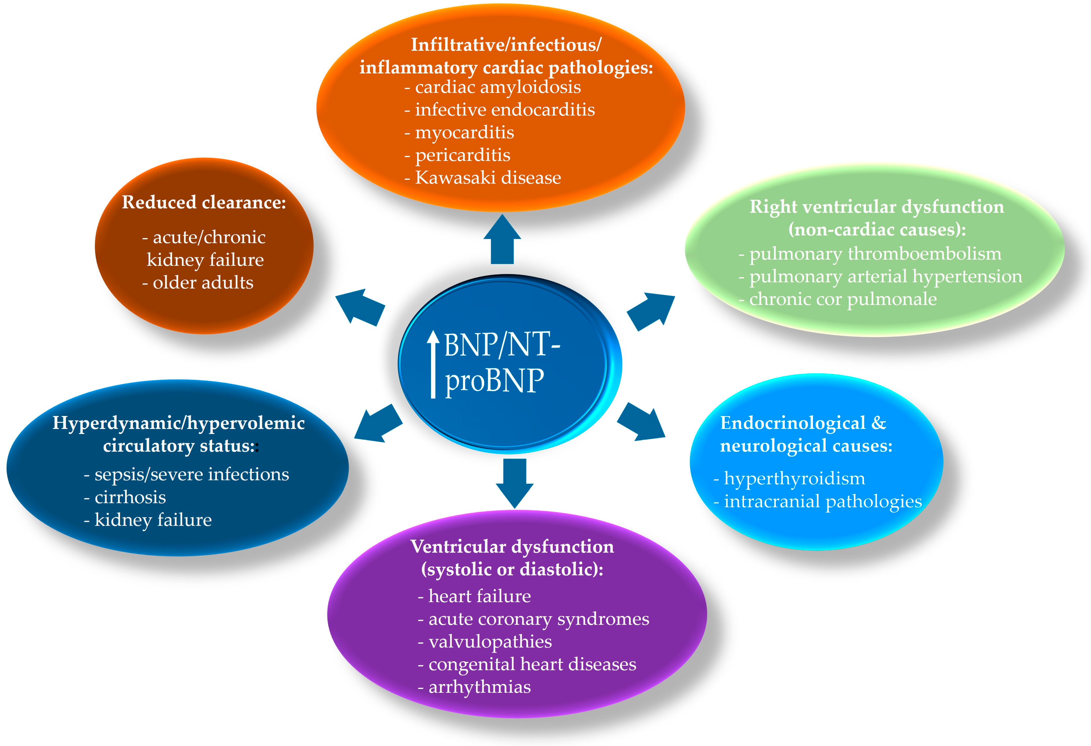 Ijms 26 09740 g004 Ijms 26 09740 g004