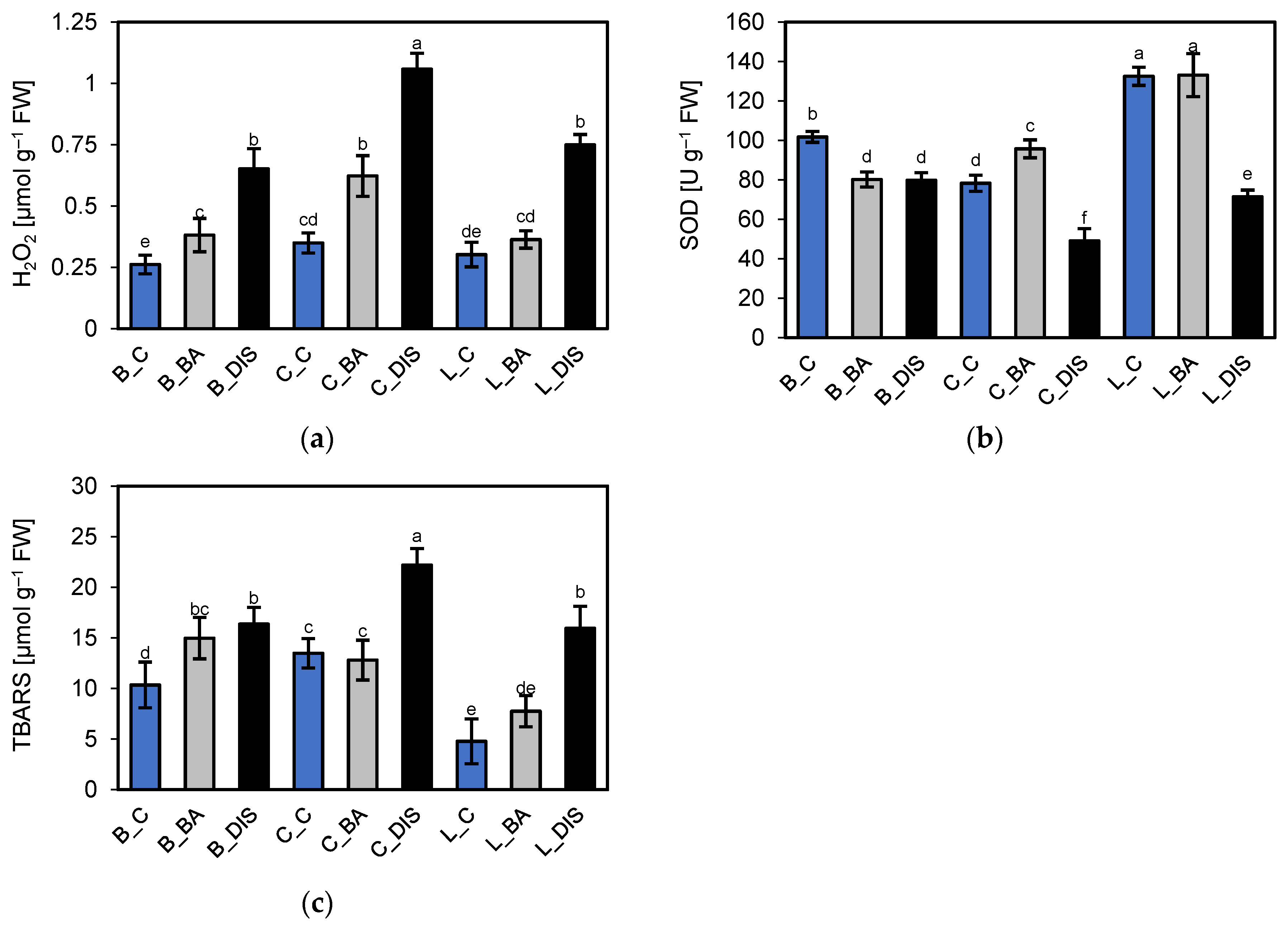 Ijms 26 09749 g014 Ijms 26 09749 g014
