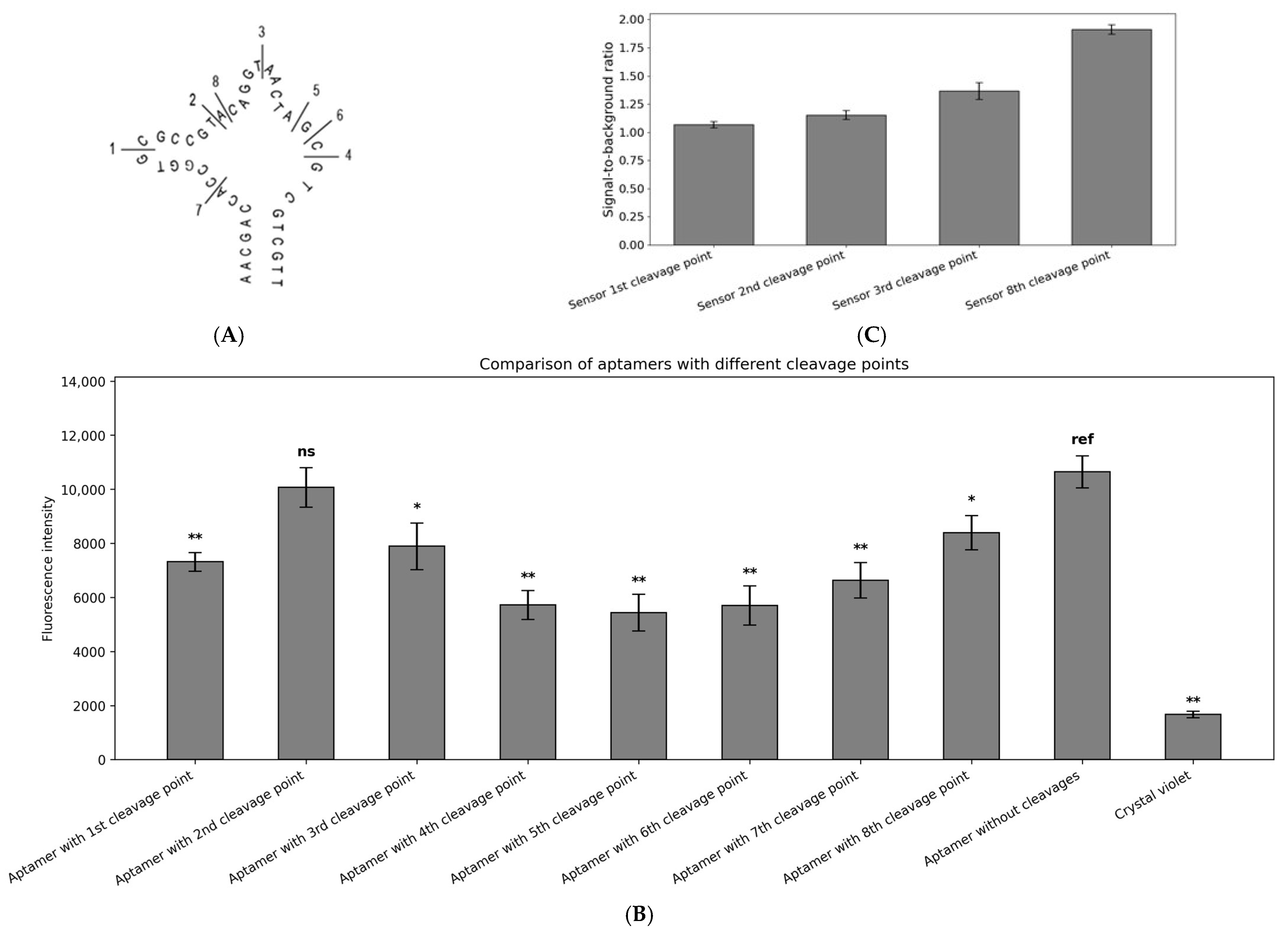 Ijms 26 09833 g004 Ijms 26 09833 g004