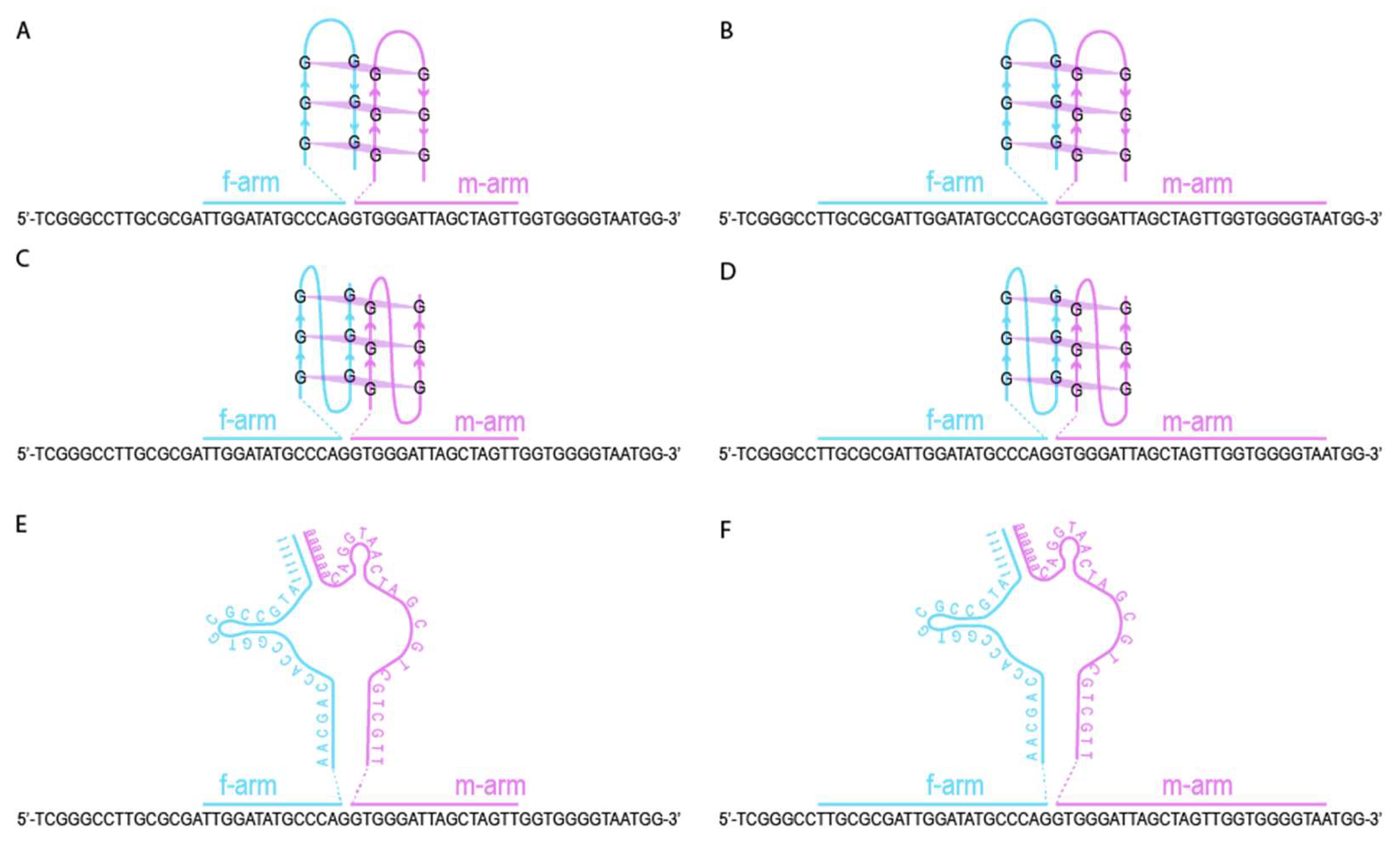 Ijms 26 09833 g005 Ijms 26 09833 g005