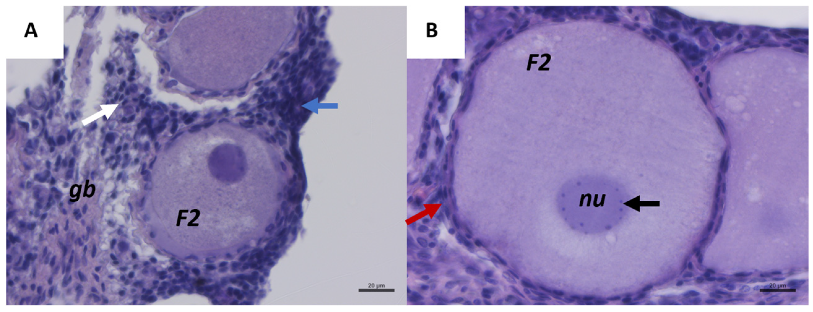 Ijms 26 09934 g001