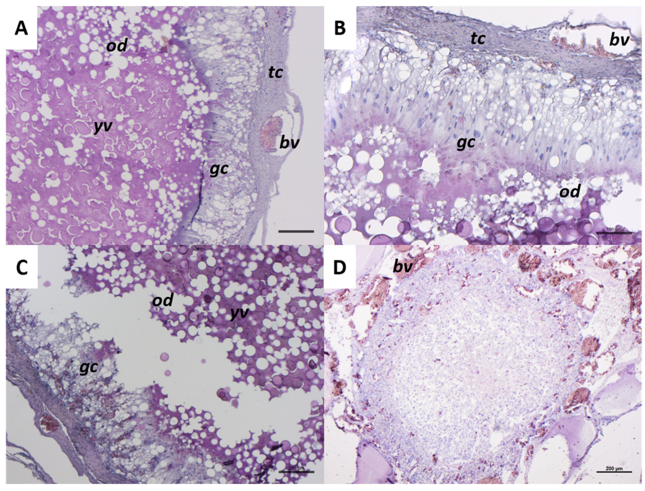 Ijms 26 09934 g008