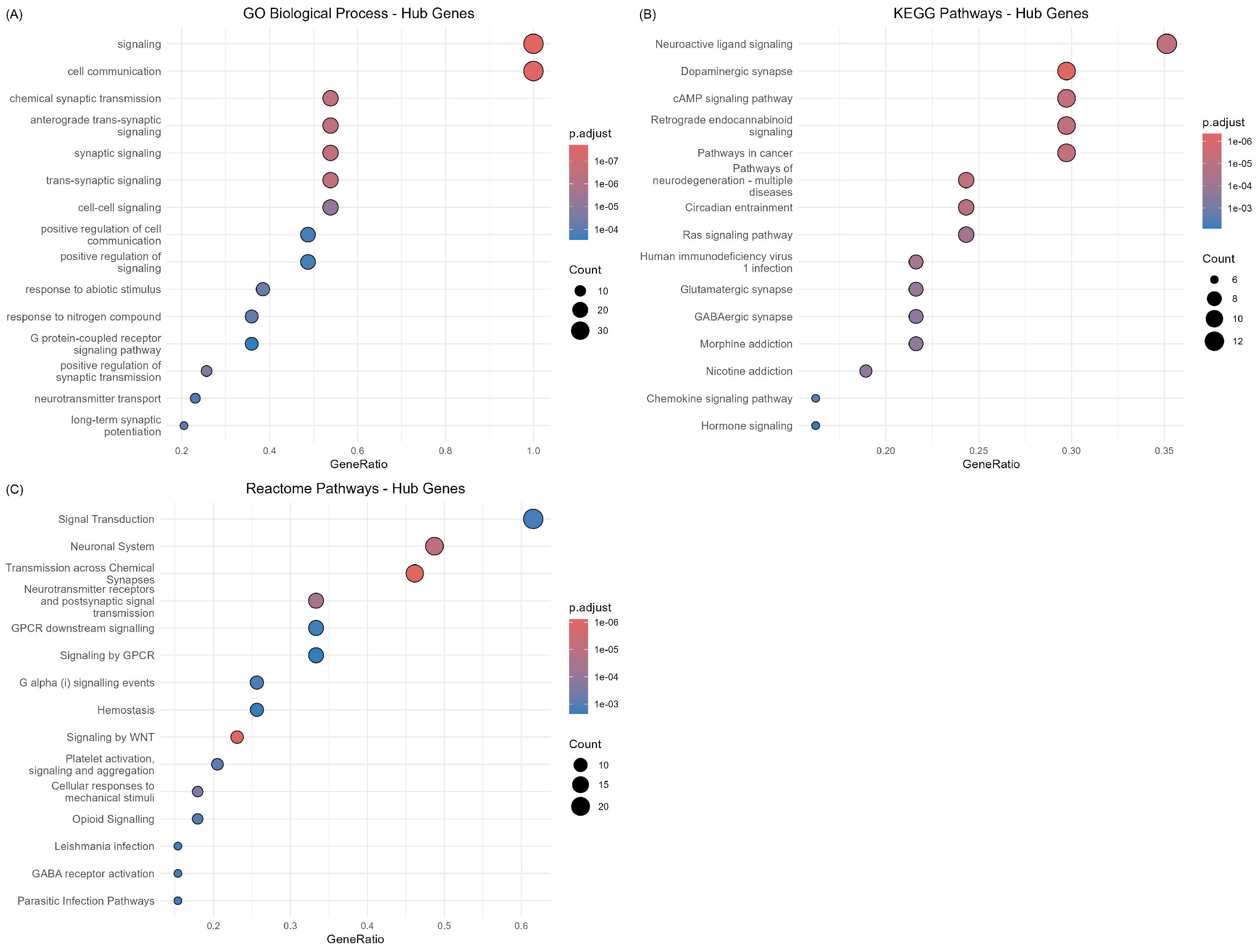 Ijms 26 10003 g009 Ijms 26 10003 g009