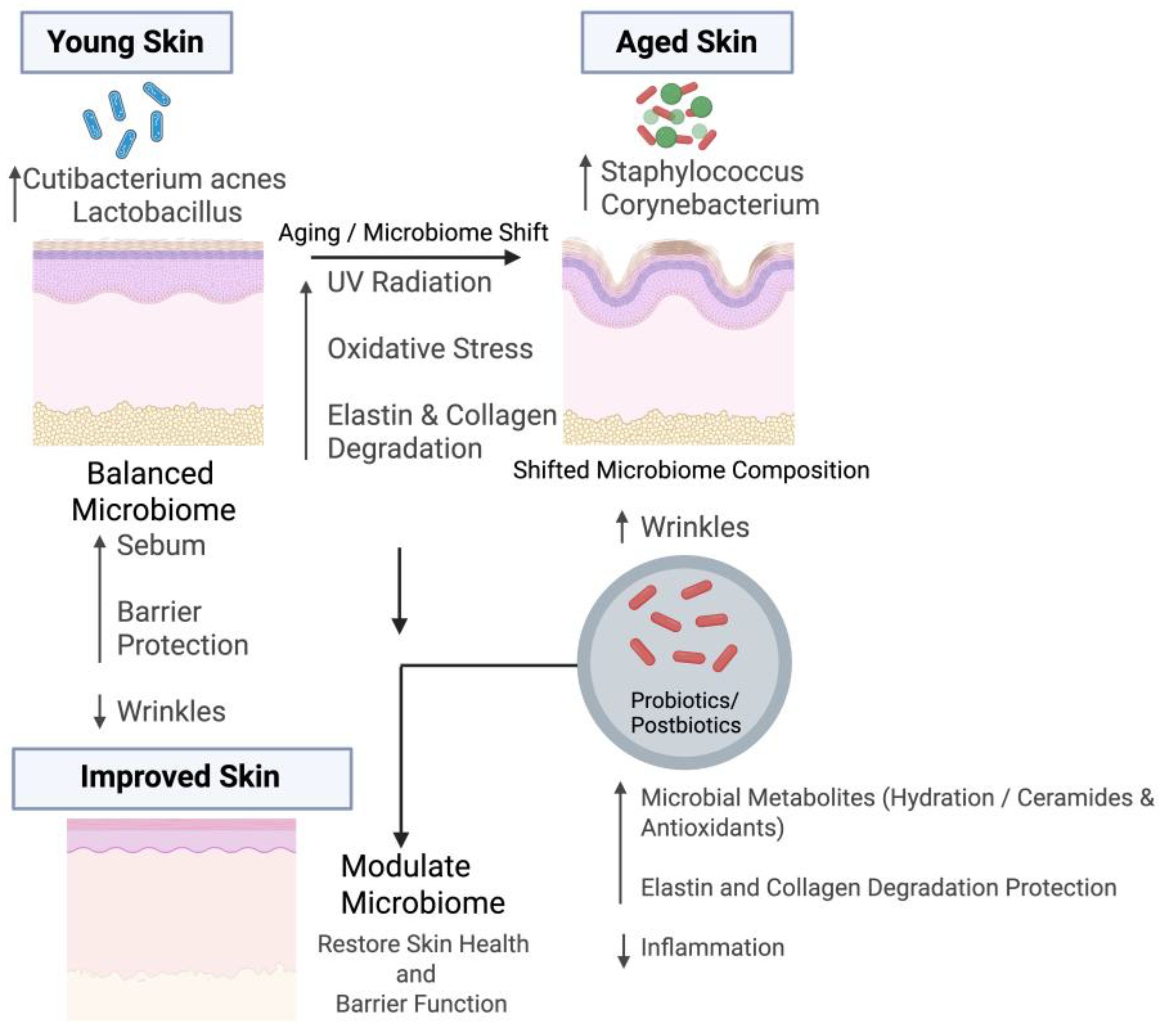 Ijms 26 10022 g001 Ijms 26 10022 g001