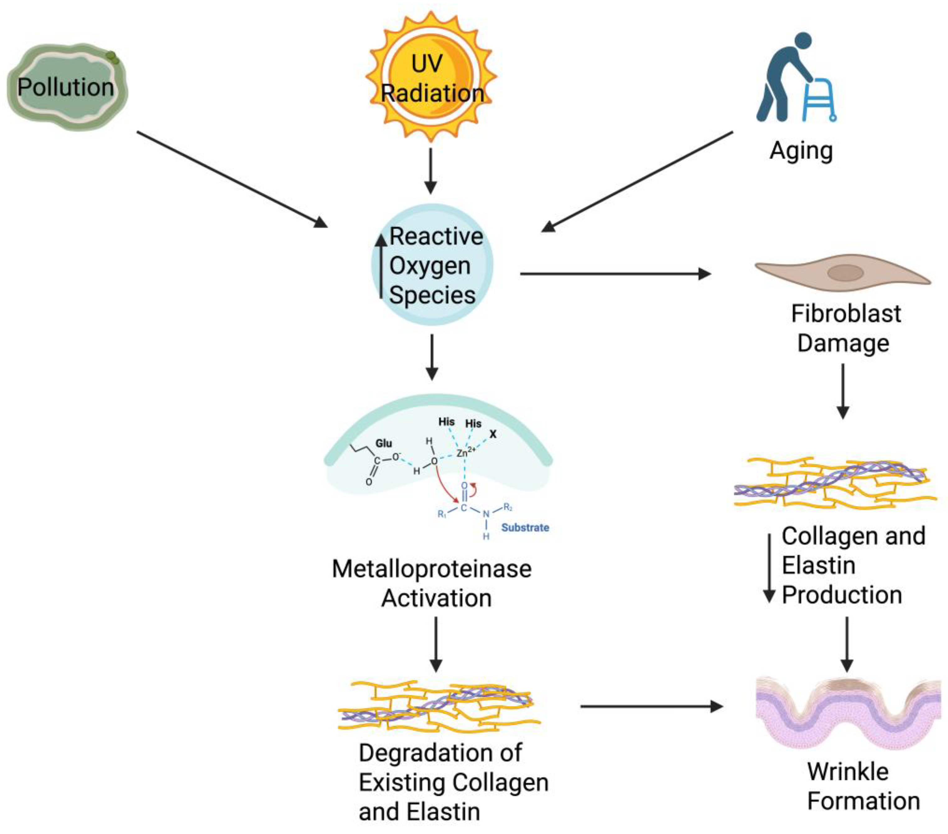 Ijms 26 10022 g002 Ijms 26 10022 g002