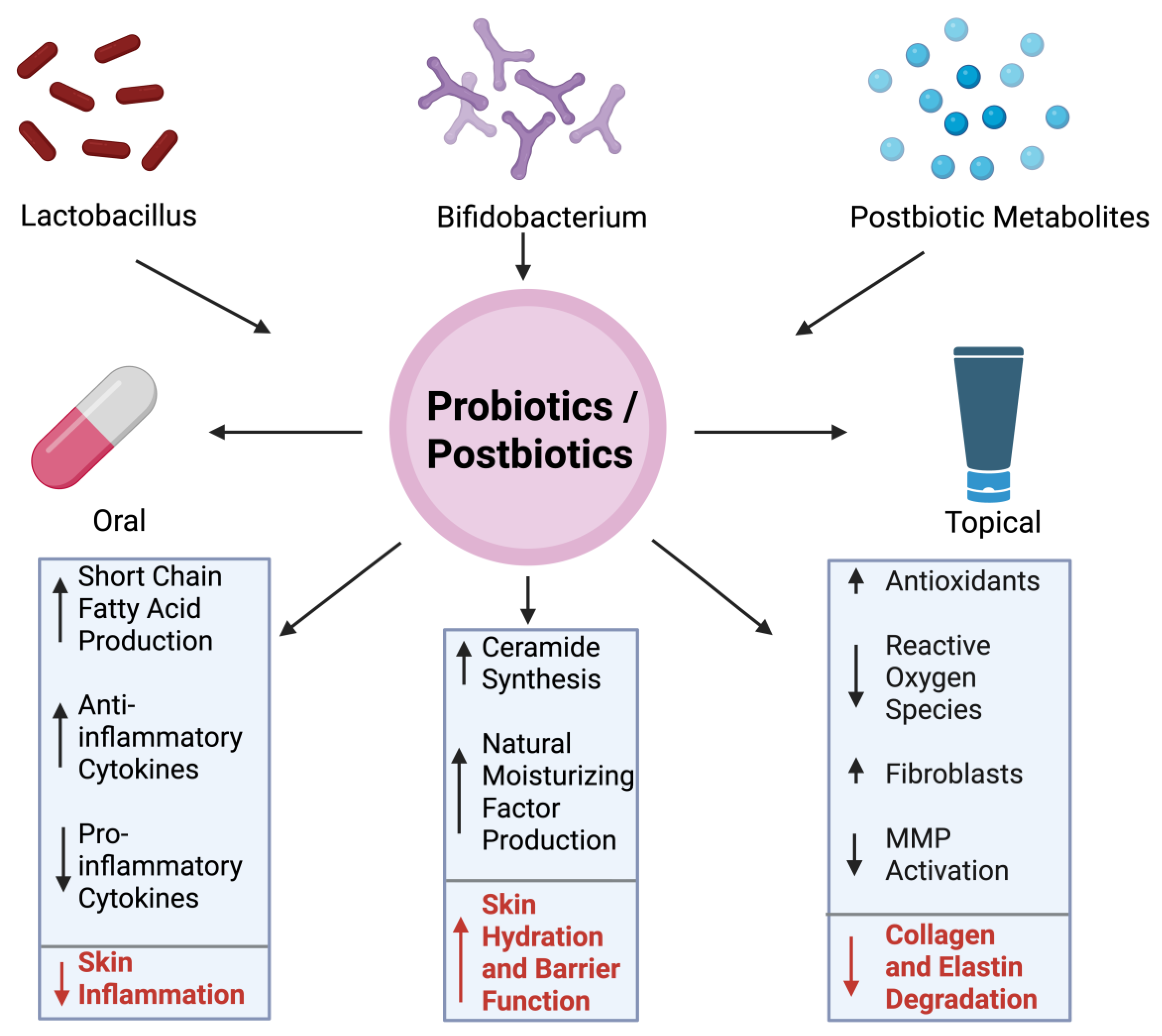 Ijms 26 10022 g003 Ijms 26 10022 g003