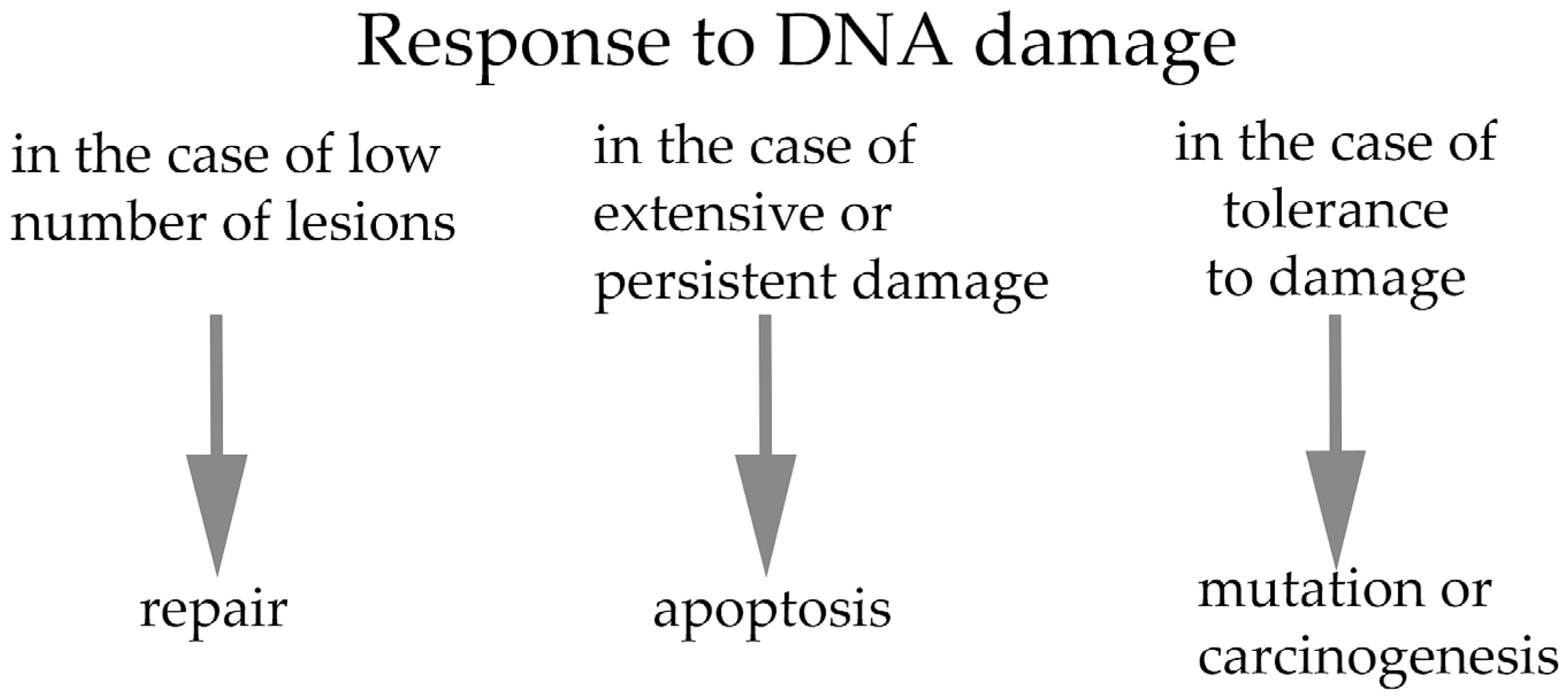 Ijms 26 10031 g001 Ijms 26 10031 g001
