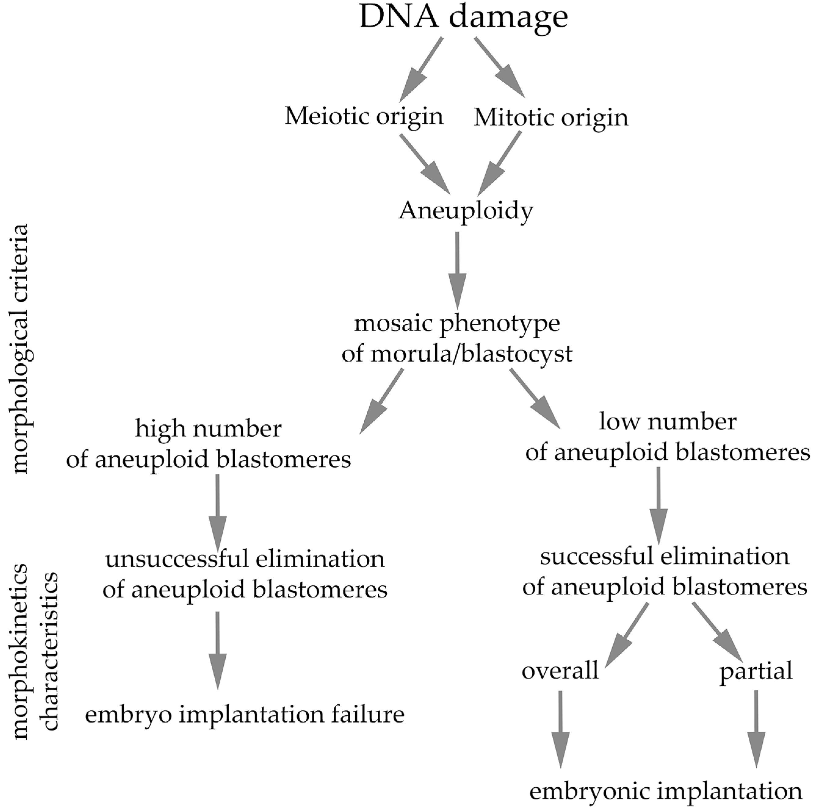 Ijms 26 10031 g003 Ijms 26 10031 g003