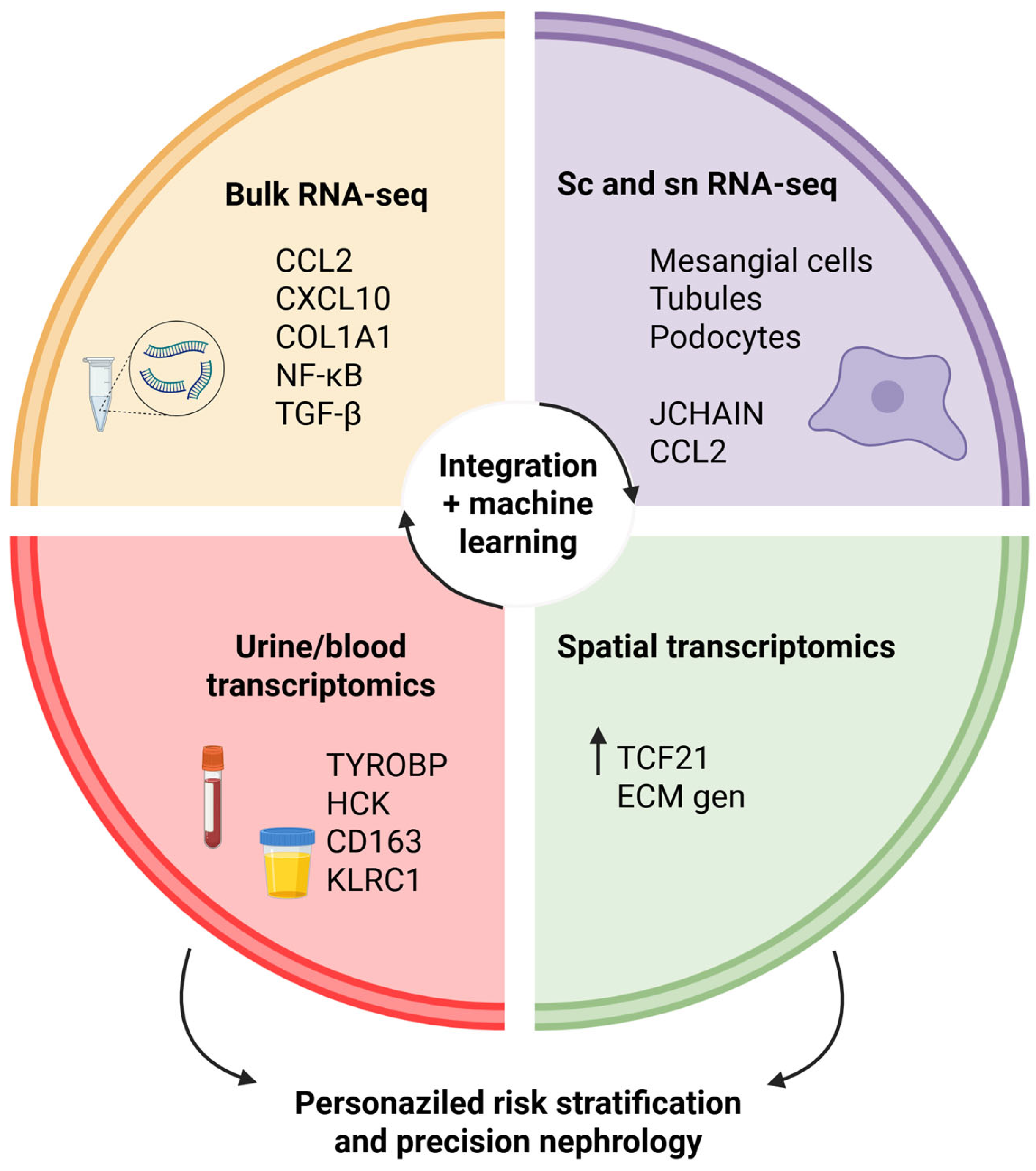 Ijms 26 10055 g001 Ijms 26 10055 g001