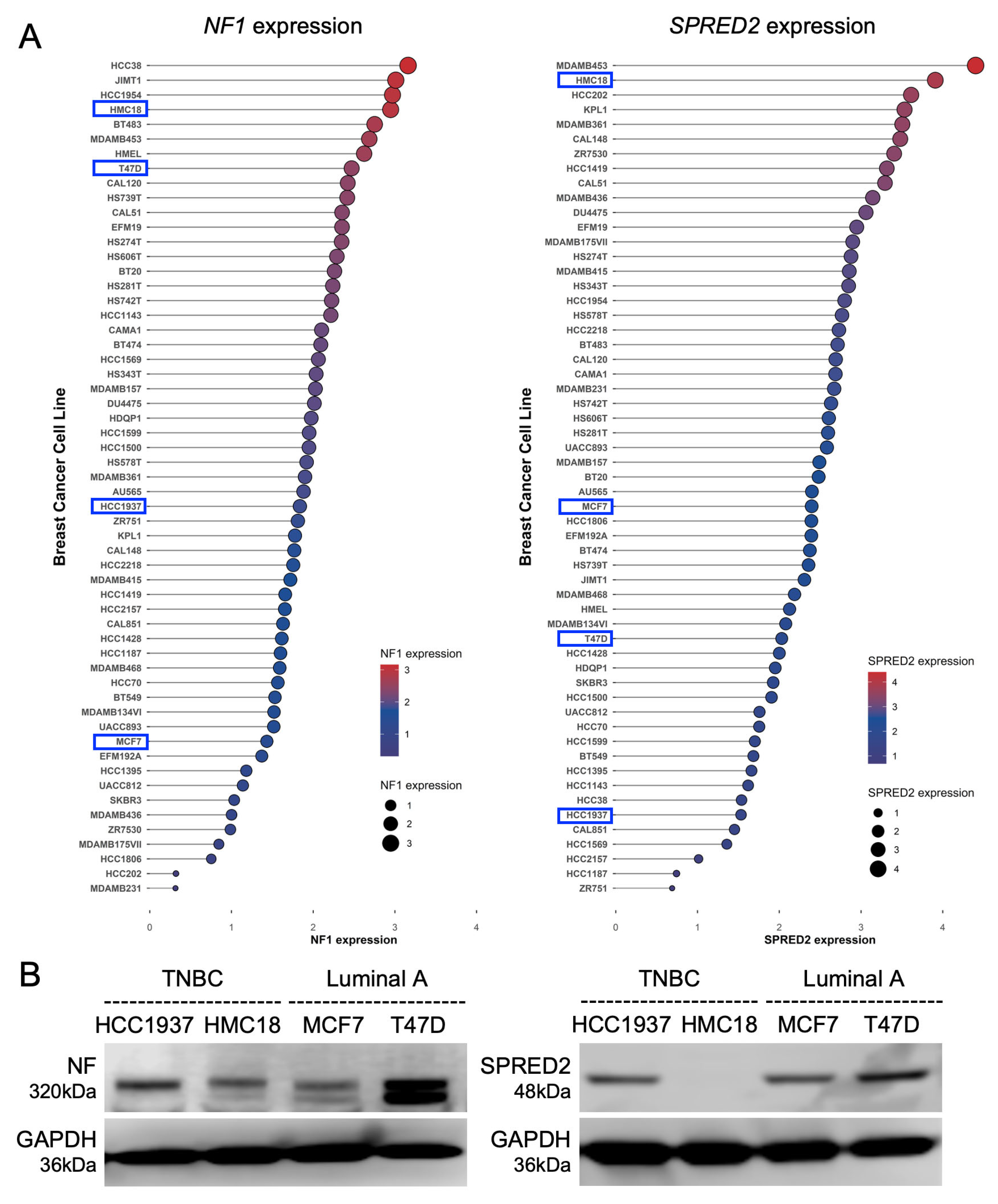 Ijms 26 10072 g001 Ijms 26 10072 g001