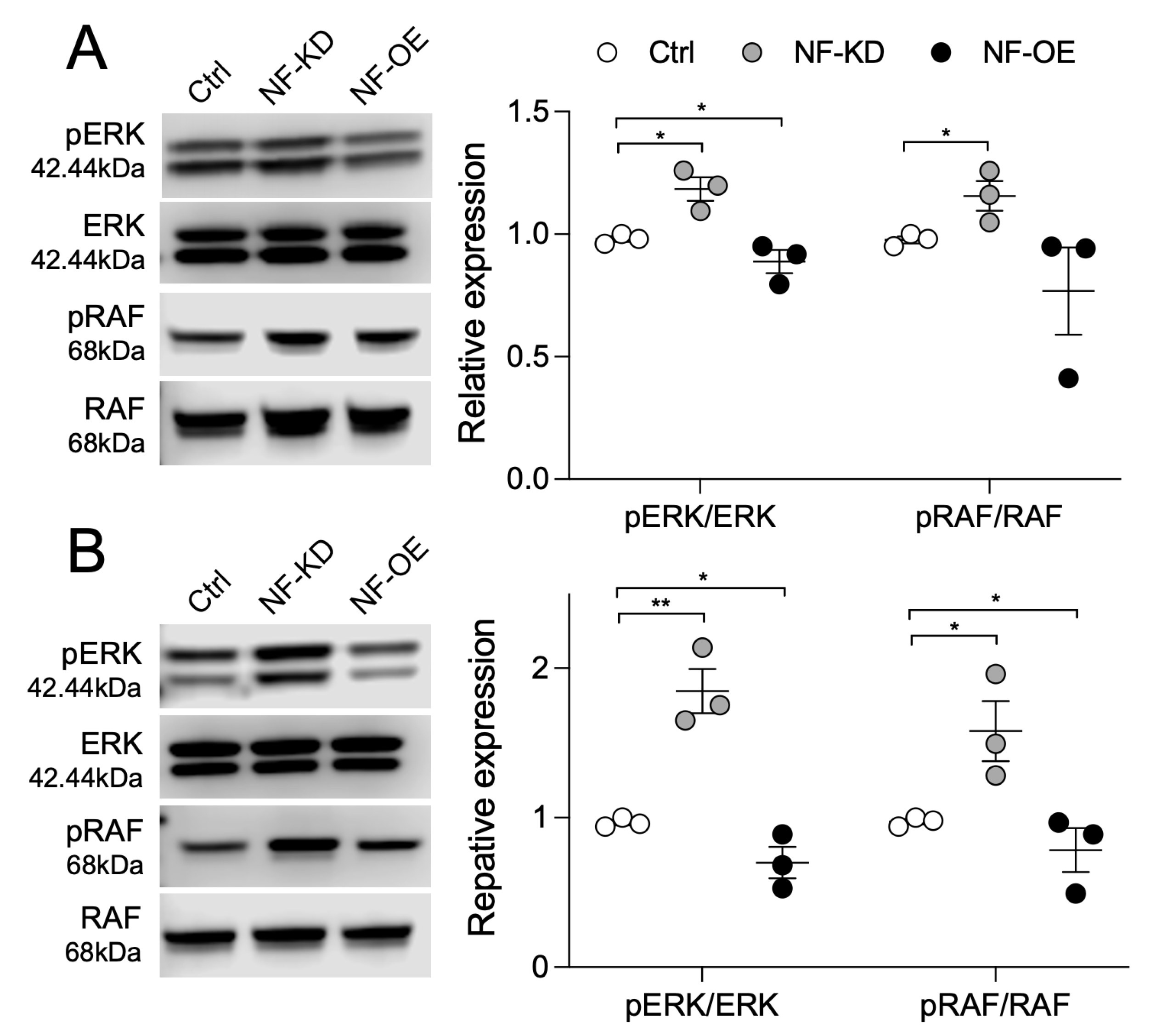 Ijms 26 10072 g004 Ijms 26 10072 g004