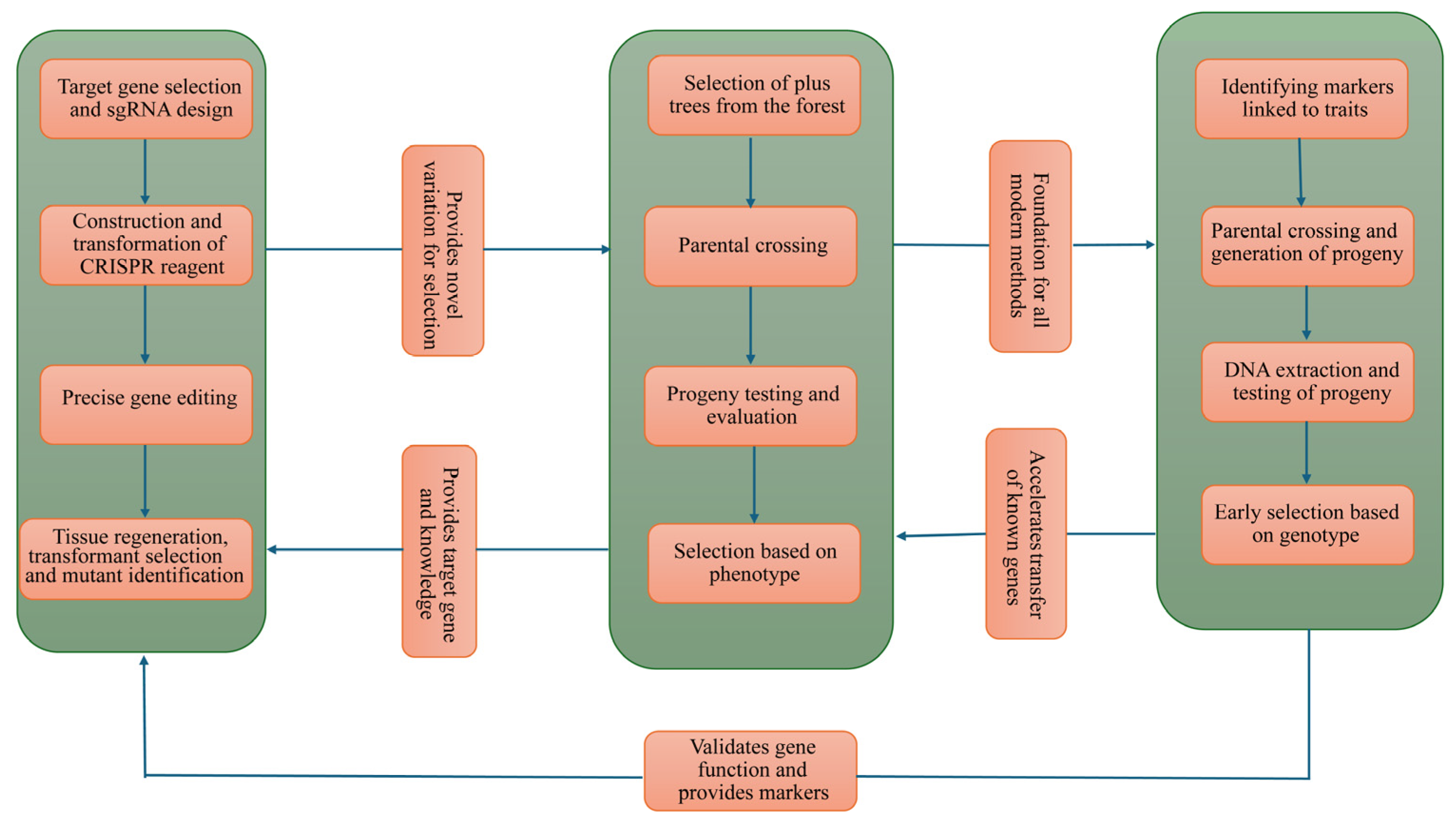 Ijms 26 10192 g004 Ijms 26 10192 g004