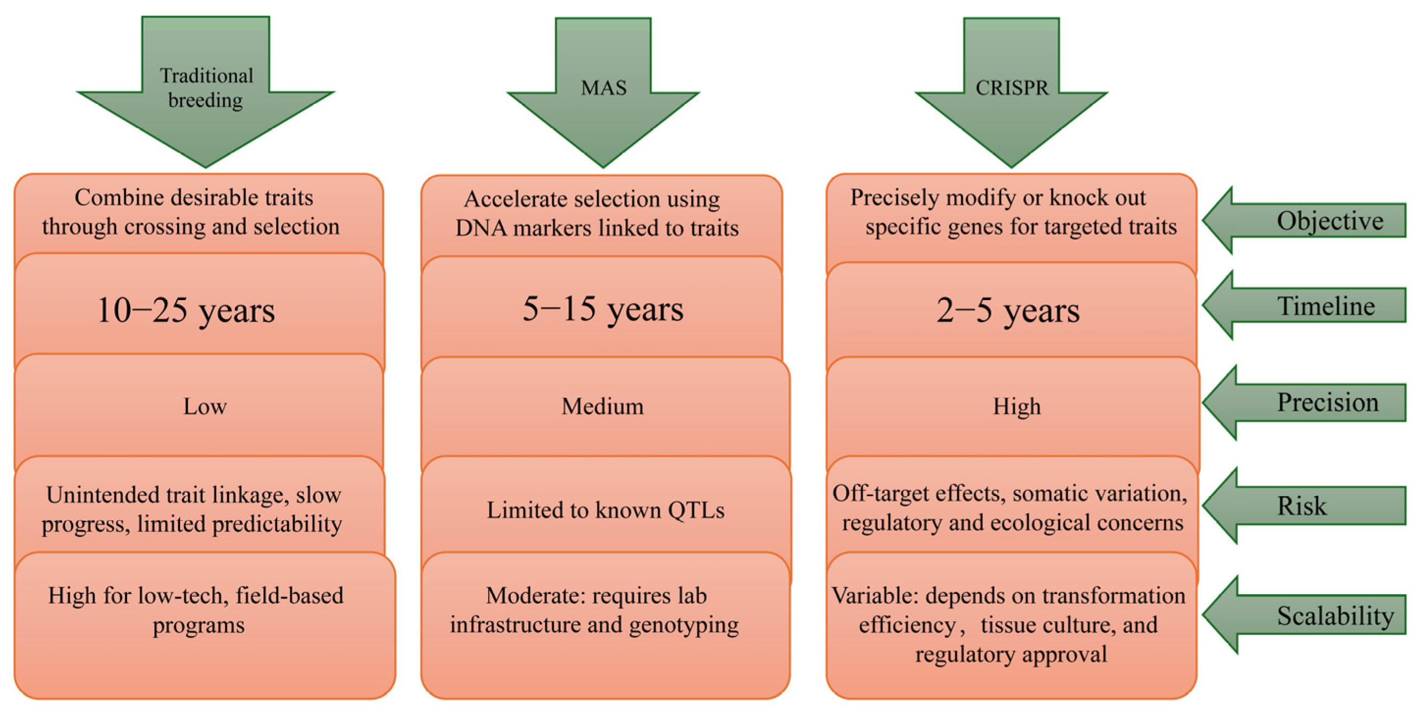 Ijms 26 10192 g005 Ijms 26 10192 g005
