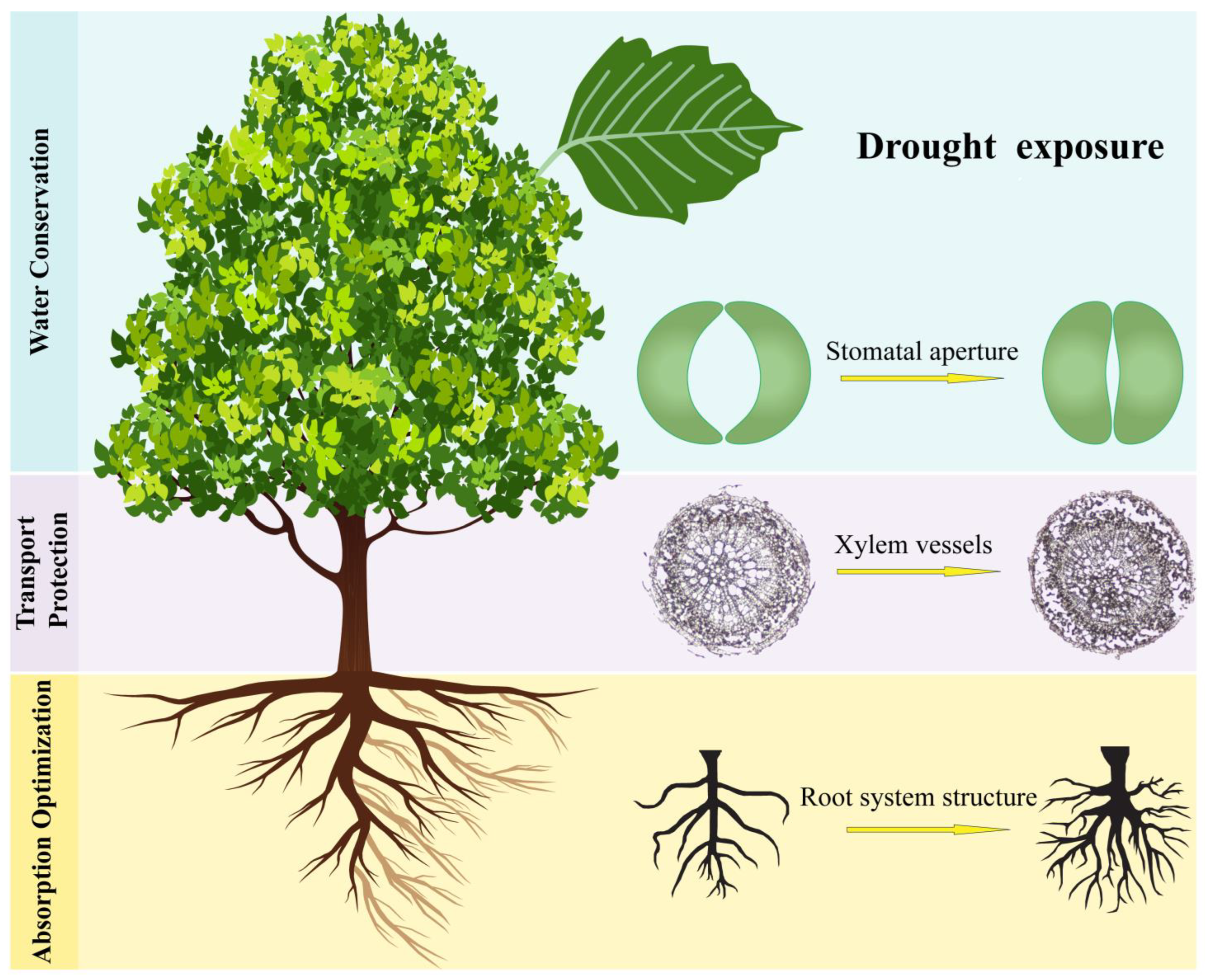 Ijms 26 10192 g006 Ijms 26 10192 g006