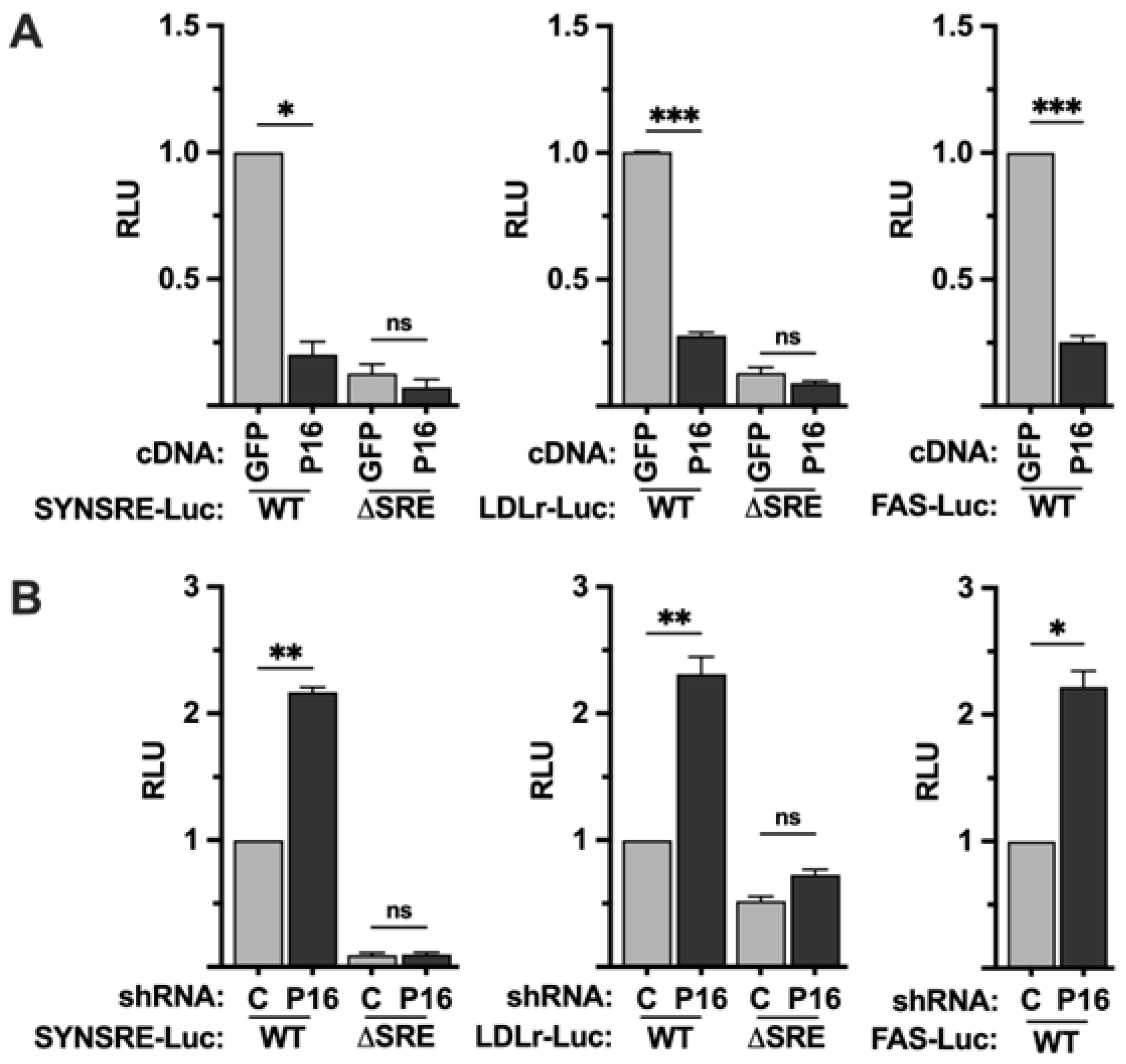 Ijms 26 10246 g001 Ijms 26 10246 g001