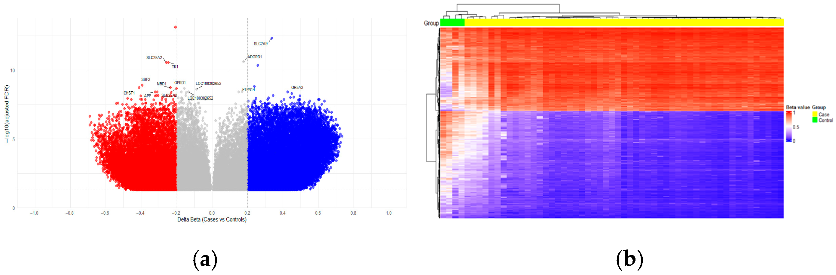 Ijms 26 10261 g001 Ijms 26 10261 g001