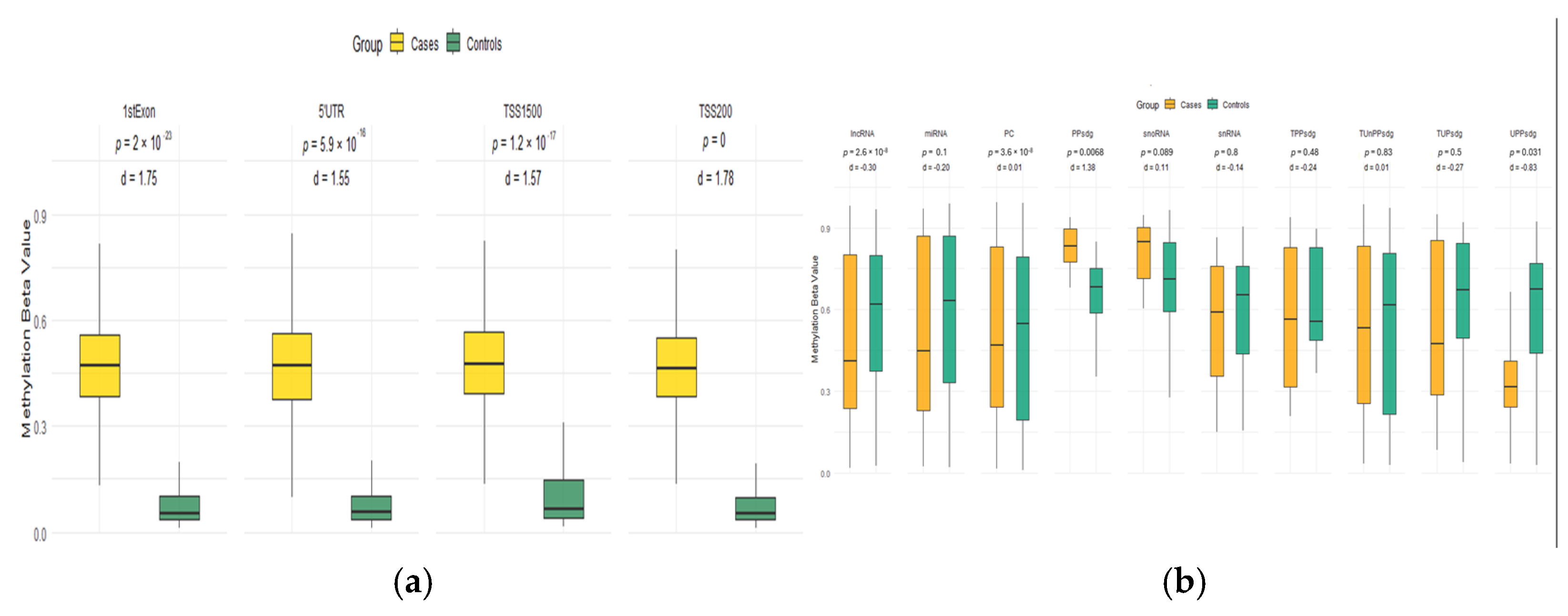 Ijms 26 10261 g002 Ijms 26 10261 g002