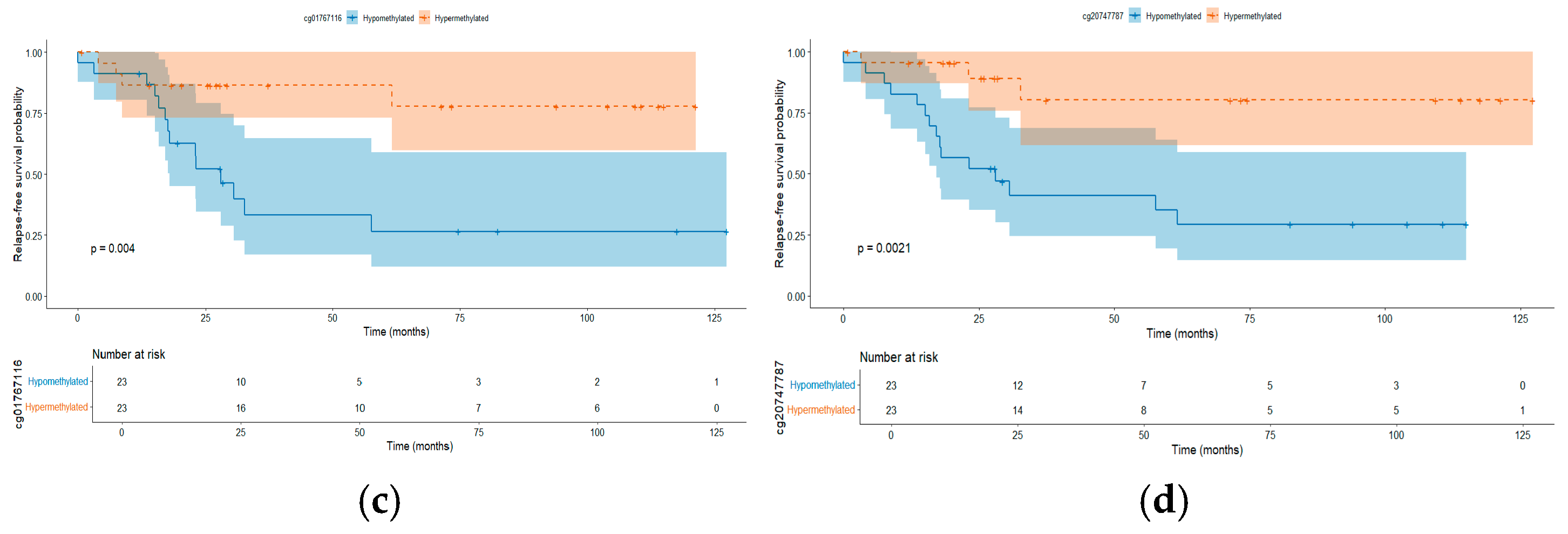 Ijms 26 10261 g004b Ijms 26 10261 g004b