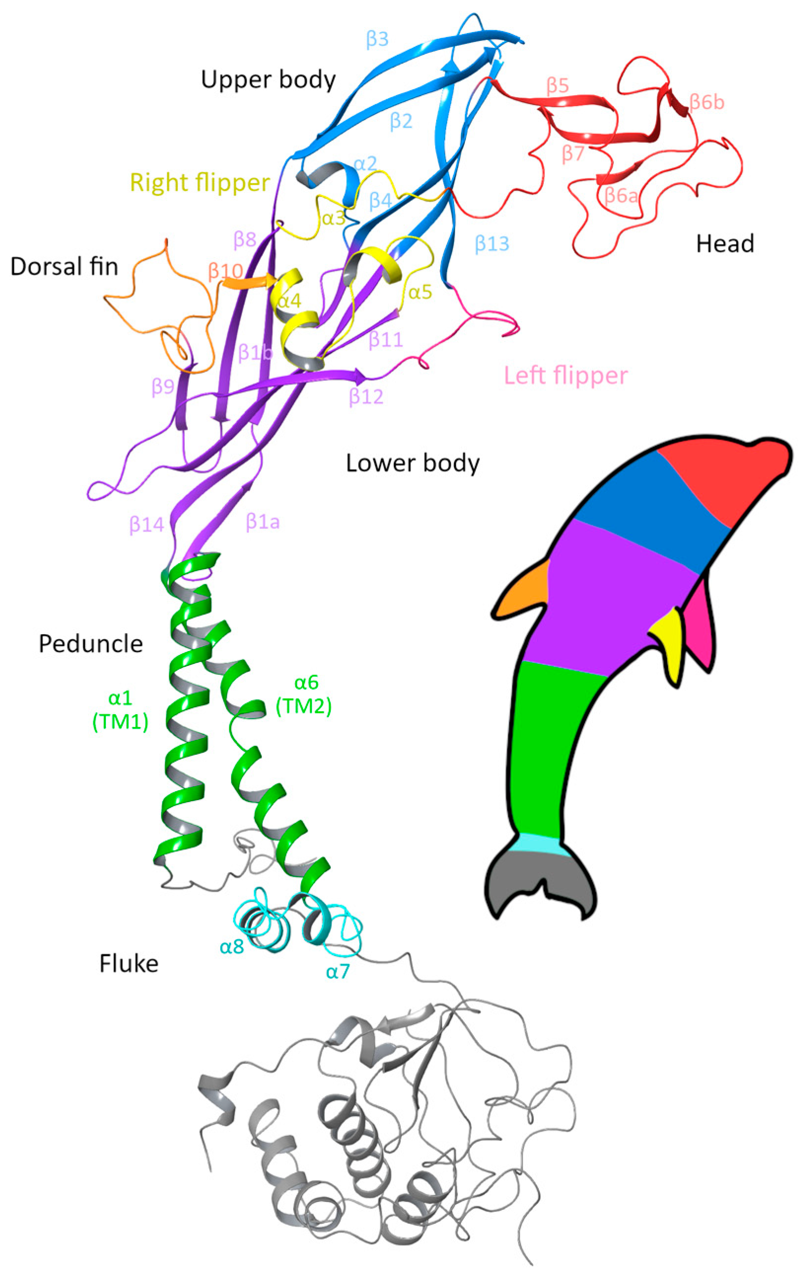 Ijms 26 10265 g001 Ijms 26 10265 g001