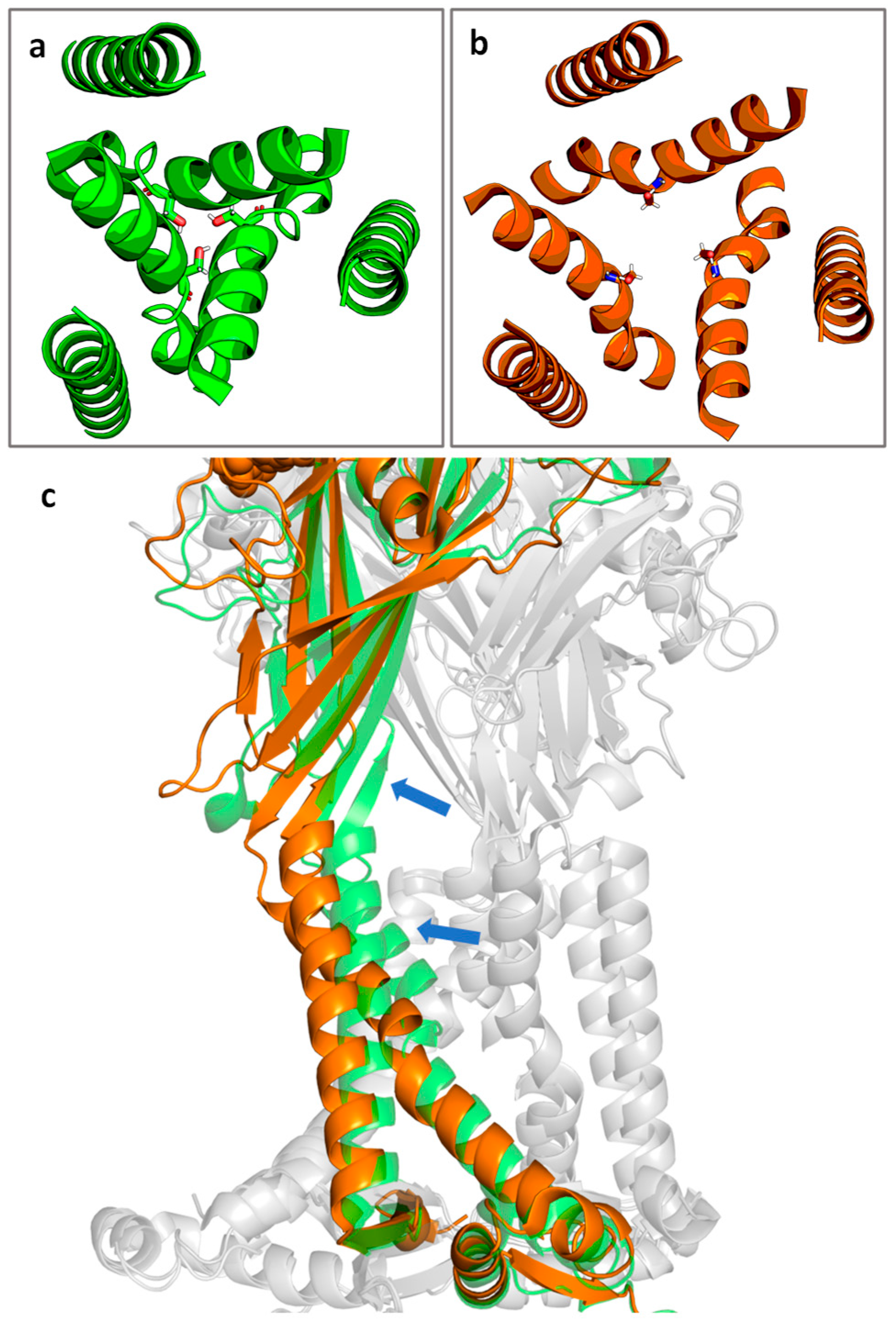Ijms 26 10265 g002 Ijms 26 10265 g002