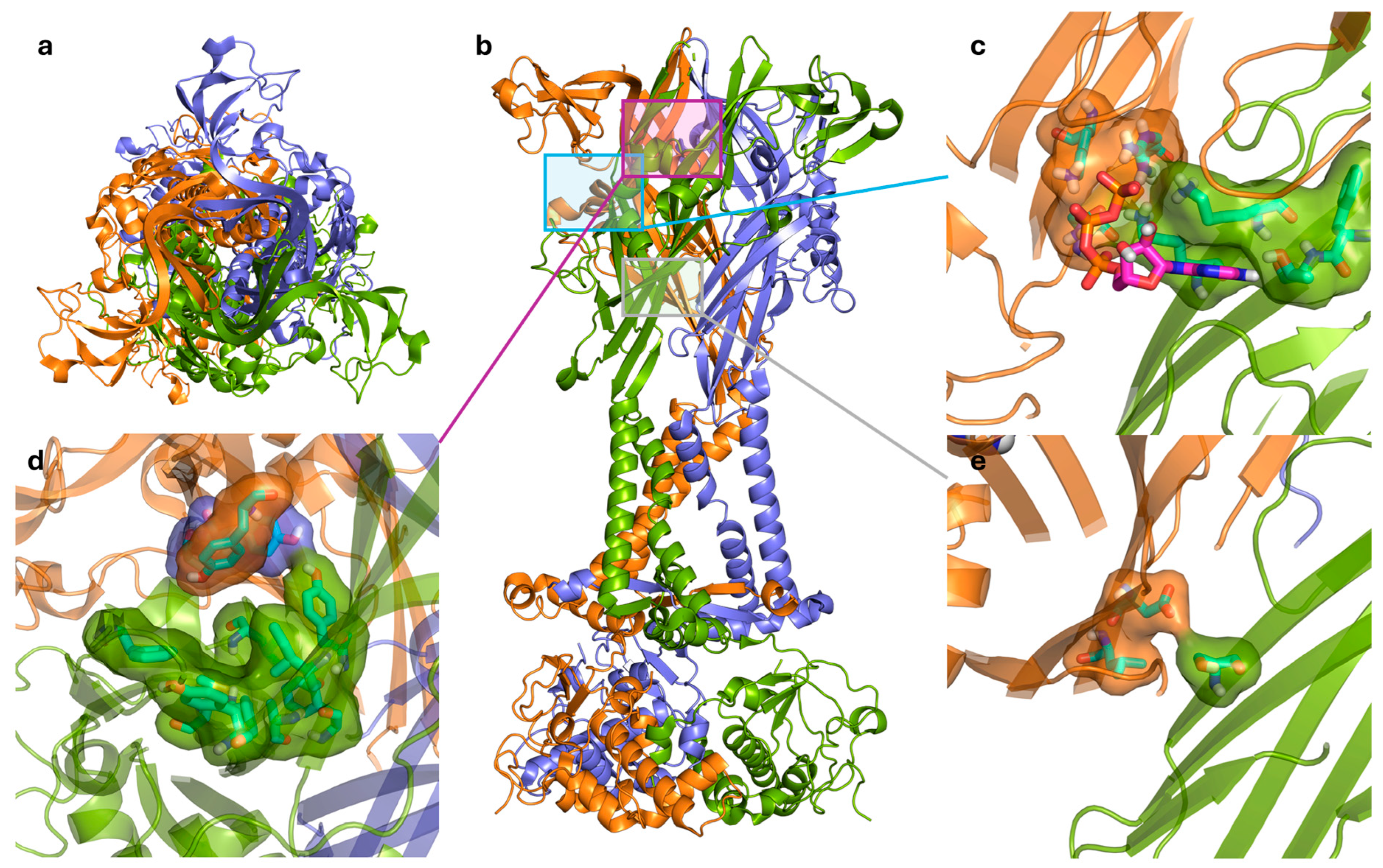 Ijms 26 10265 g003 Ijms 26 10265 g003
