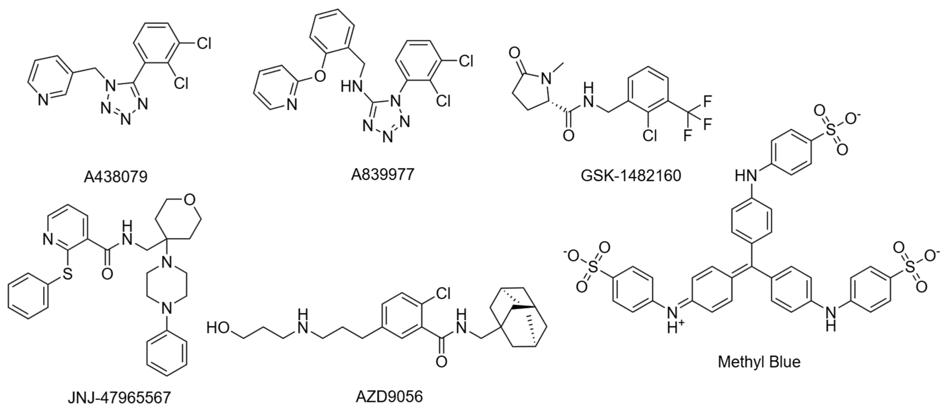 Ijms 26 10265 g004 Ijms 26 10265 g004