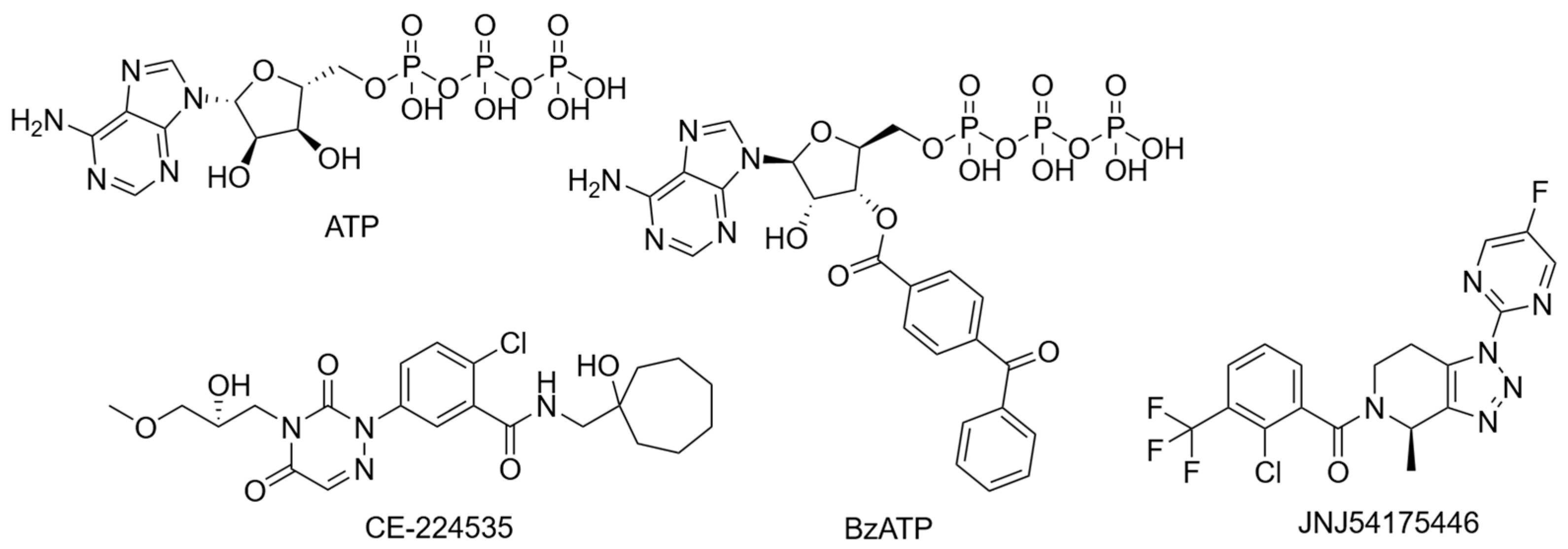 Ijms 26 10265 g005 Ijms 26 10265 g005