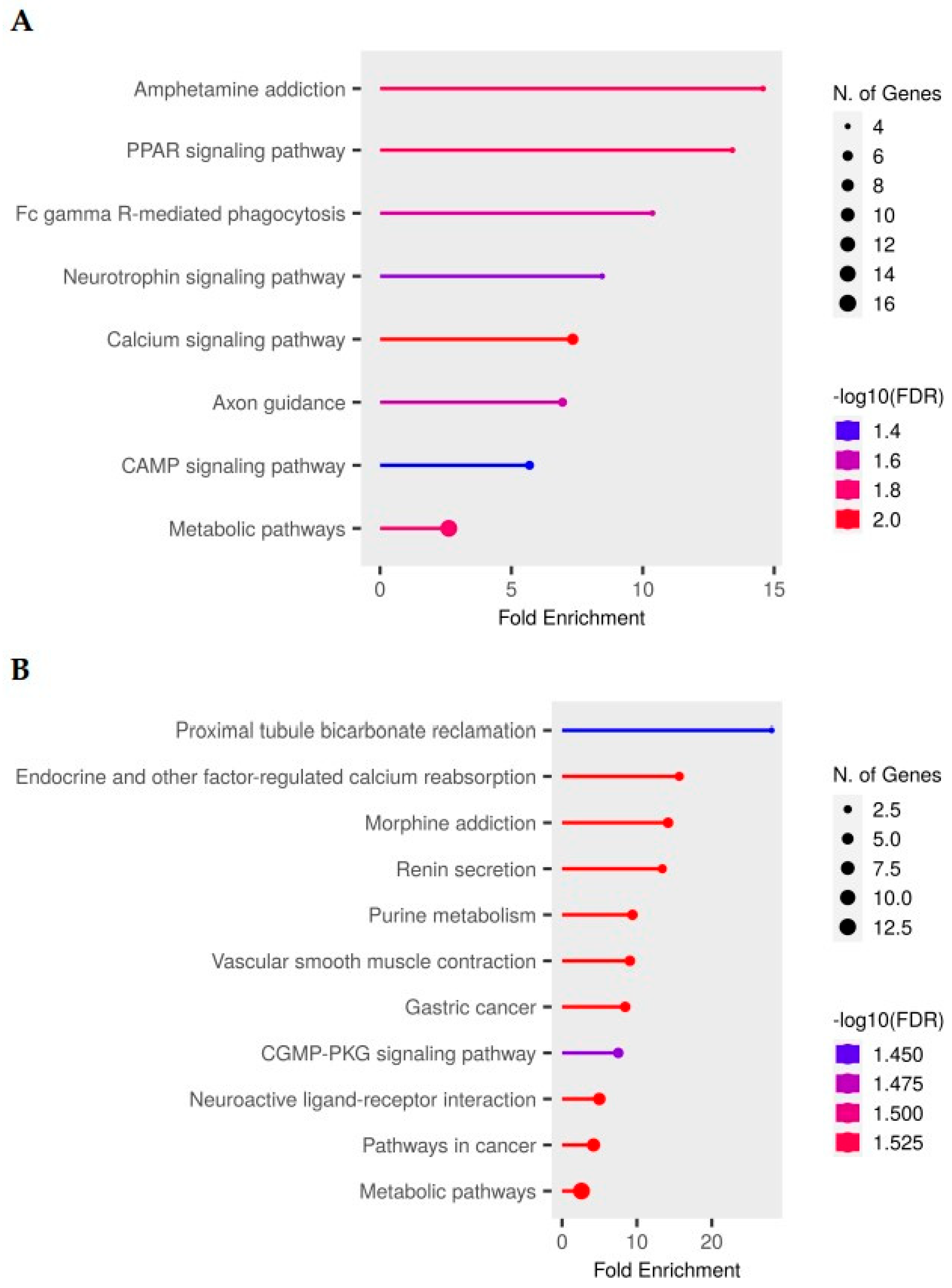 Ijms 26 10299 g002 Ijms 26 10299 g002